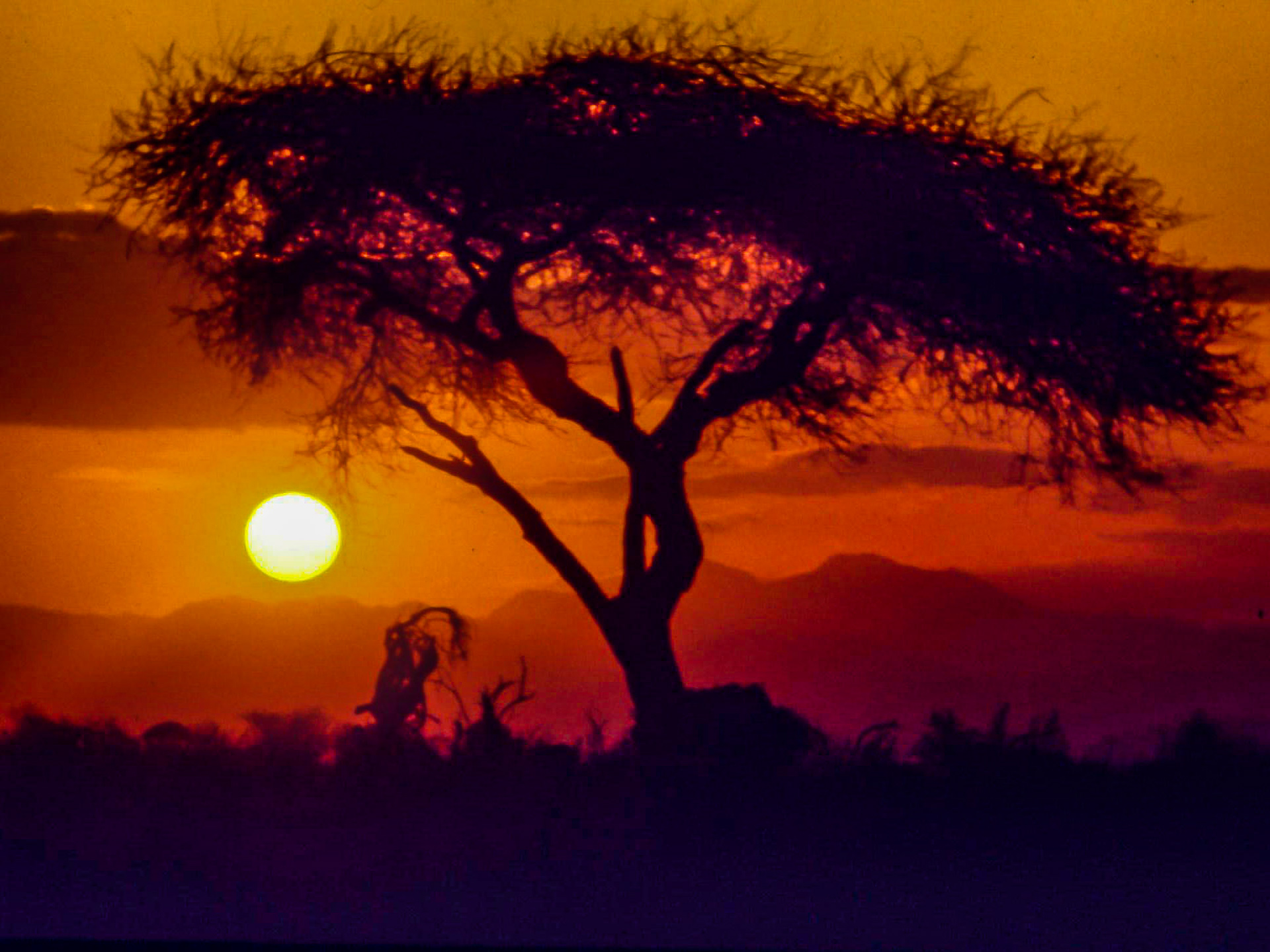 Sunset in Tsavo East, Kenya 1982
