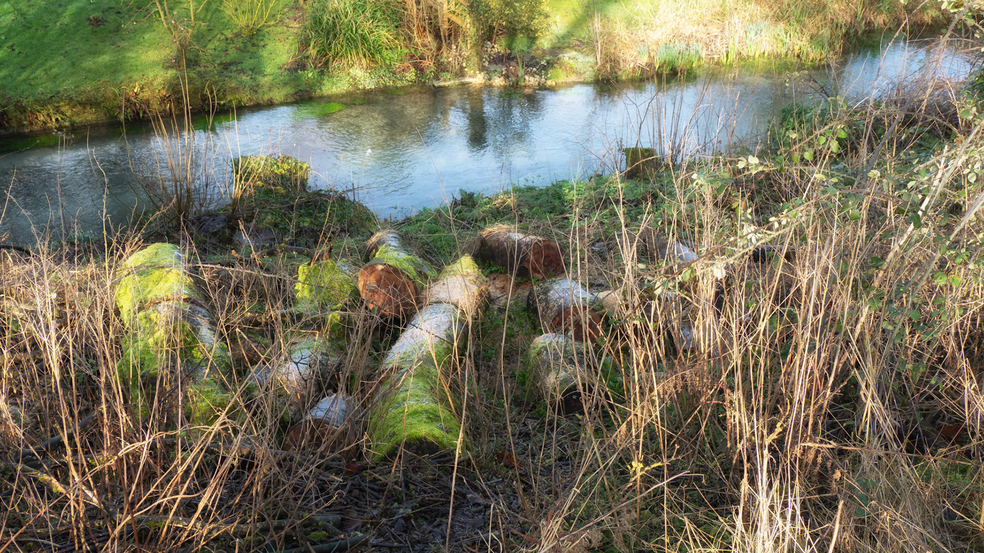 Letcombe Valley Nature Reserve