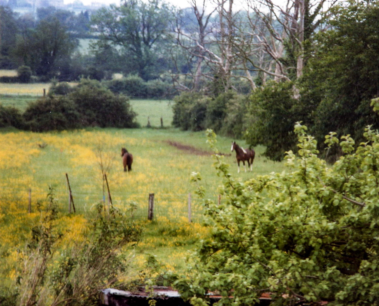 15 Purton Stoke view from our house
