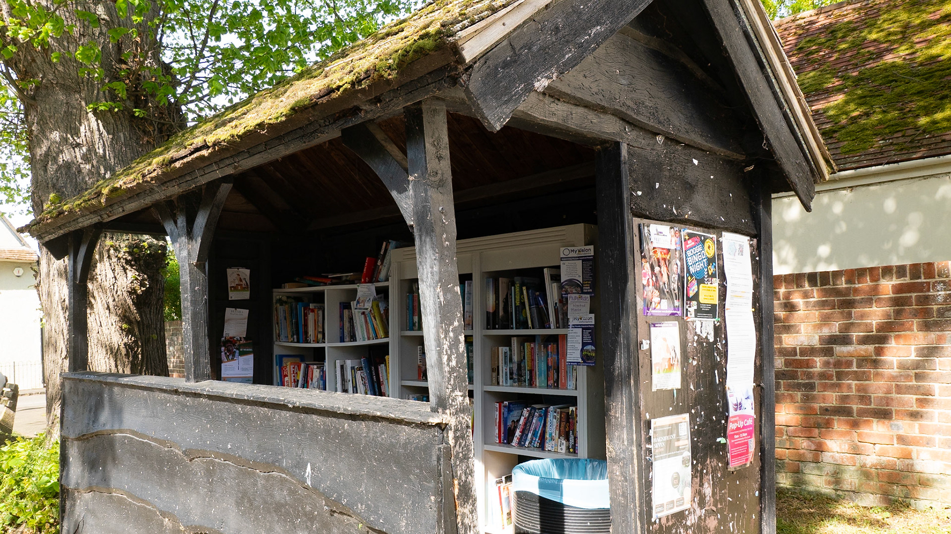 Bus stop library, Dorchester