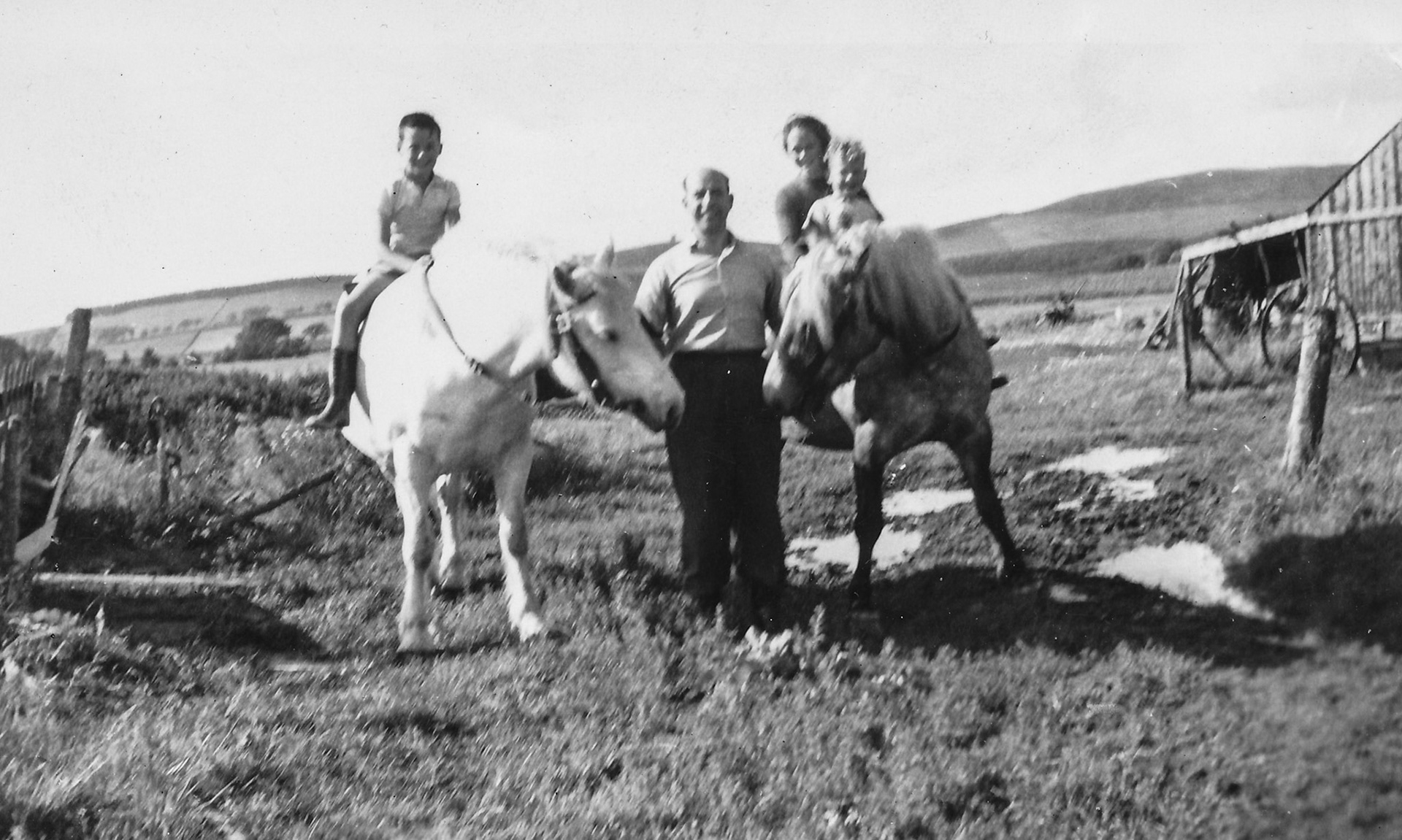 "Auchterhous Scotland on farm with Dusty"