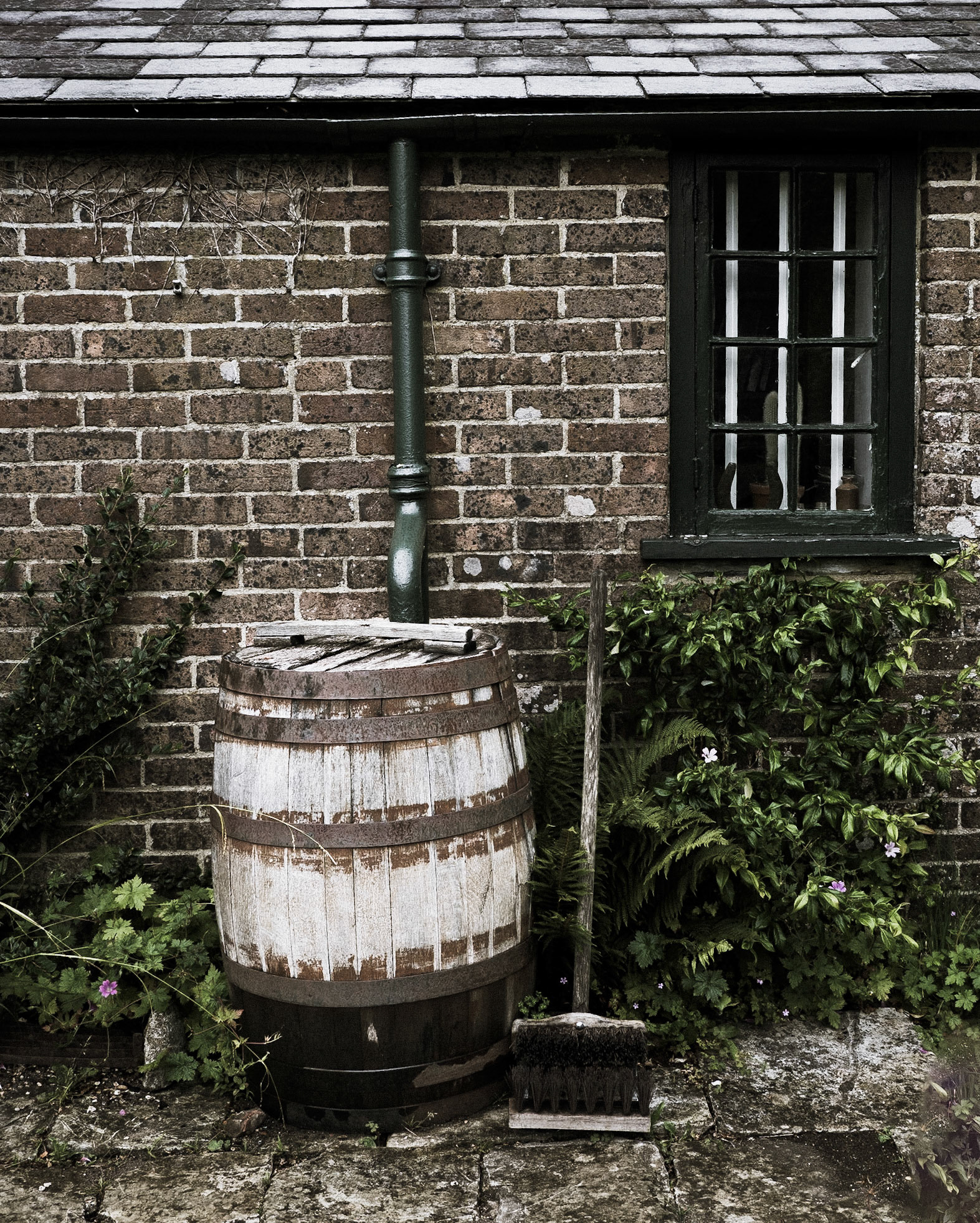 Thomas Hardy's cottage (NT), Higher Bockhampton, Dorset, July 2023