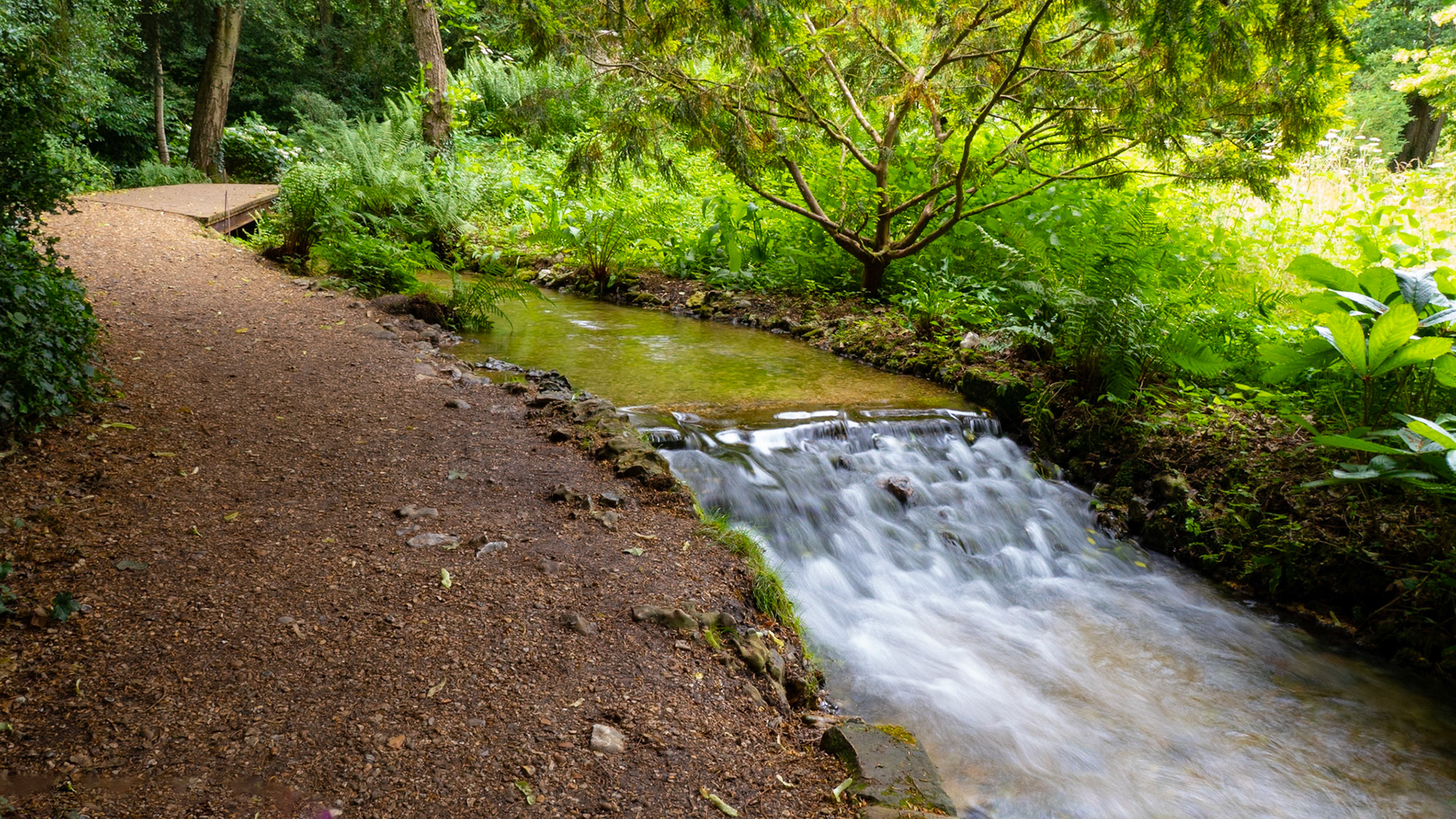 Mottisfont