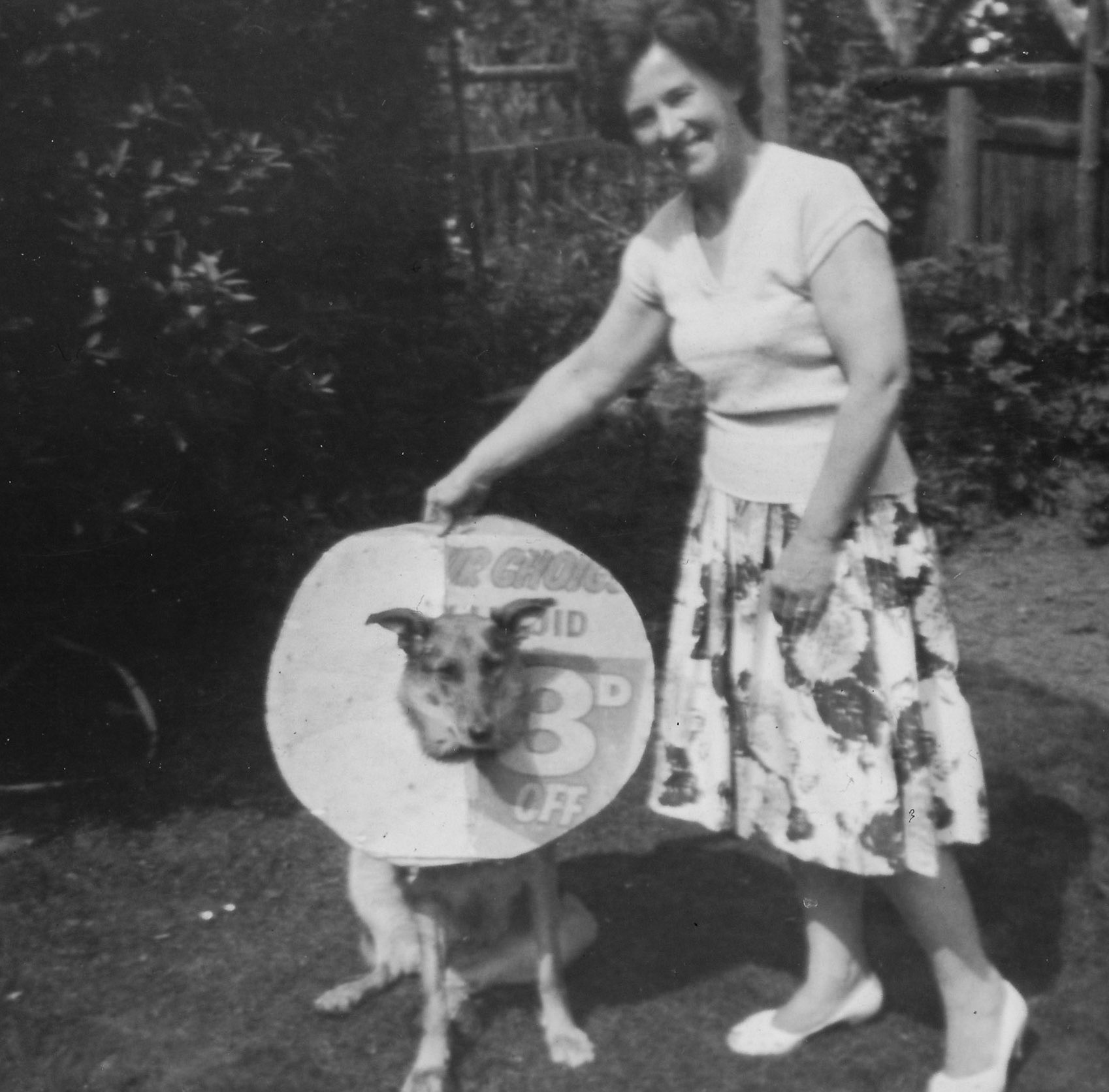 Beauty had a sore on her head and had to wear this collar. Maybe 1964