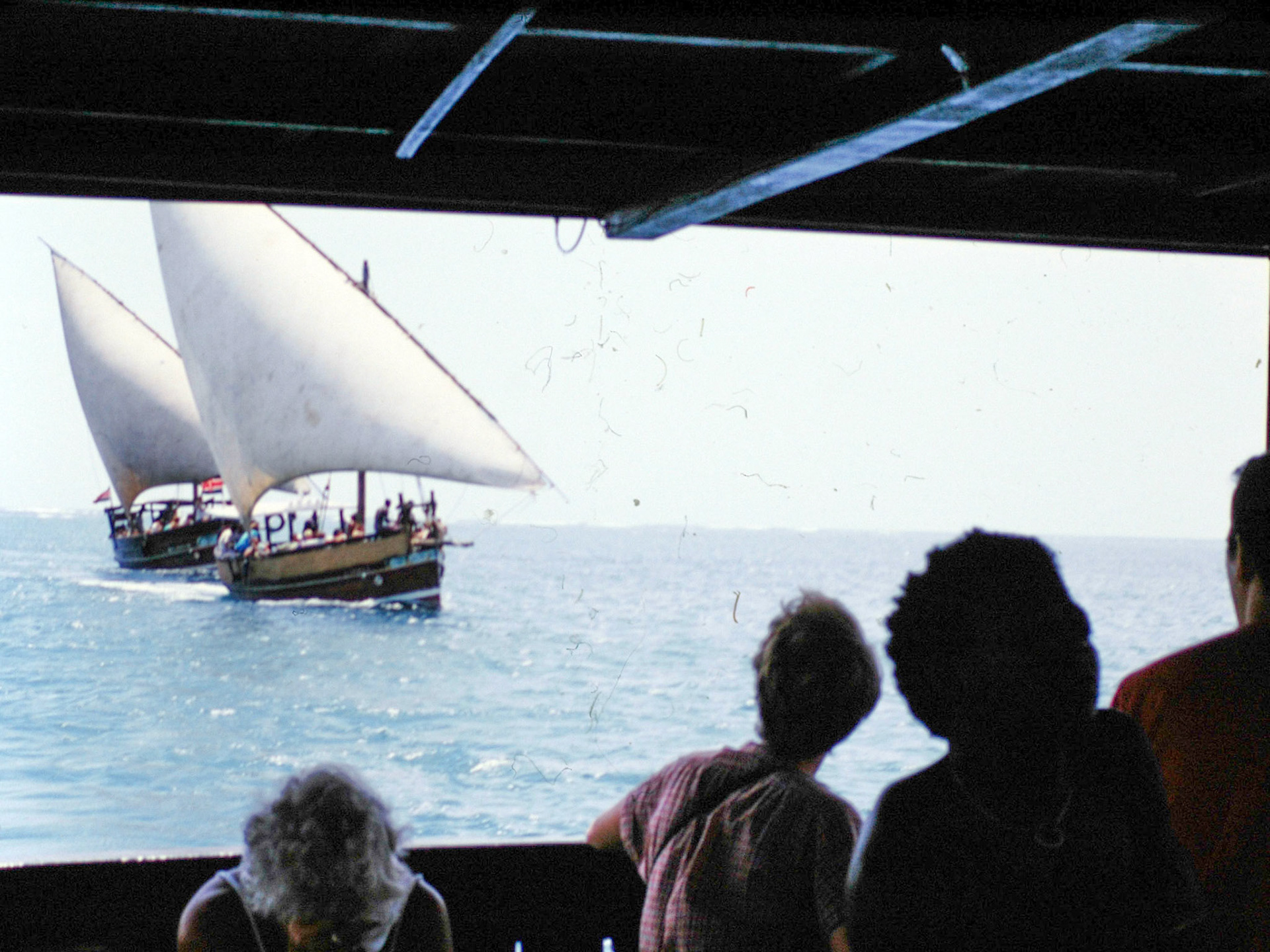 Trip on an Arab dhow