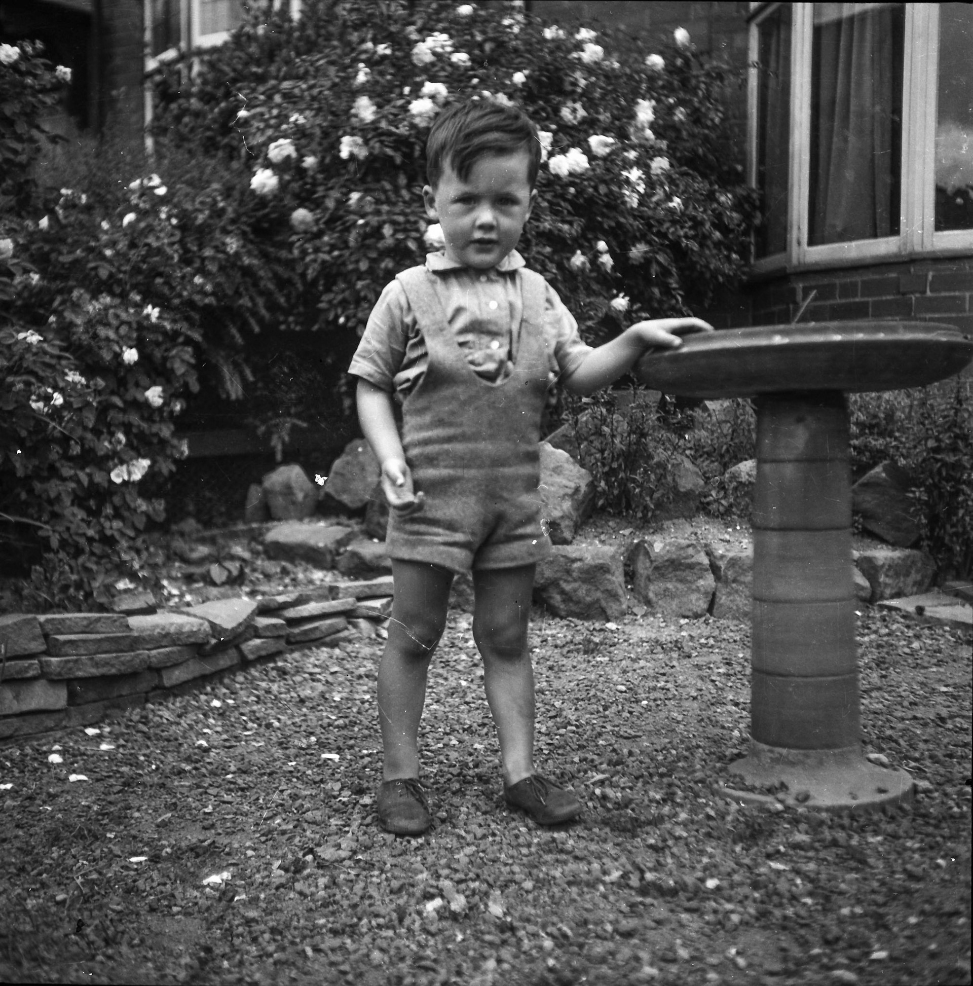 Stuart Hill by the bird bath