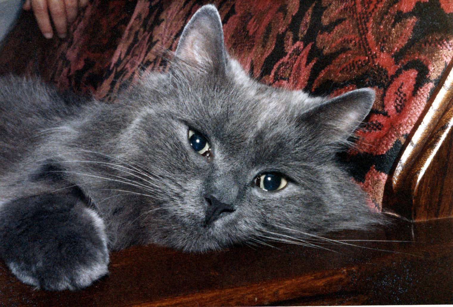 Edward