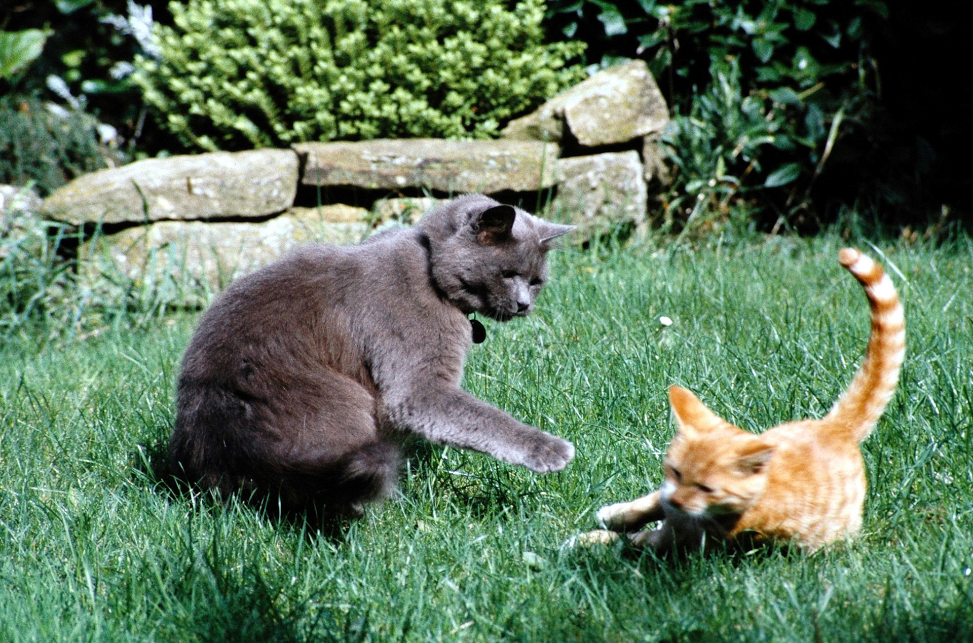 Edward and Charlie in Purton Stoke