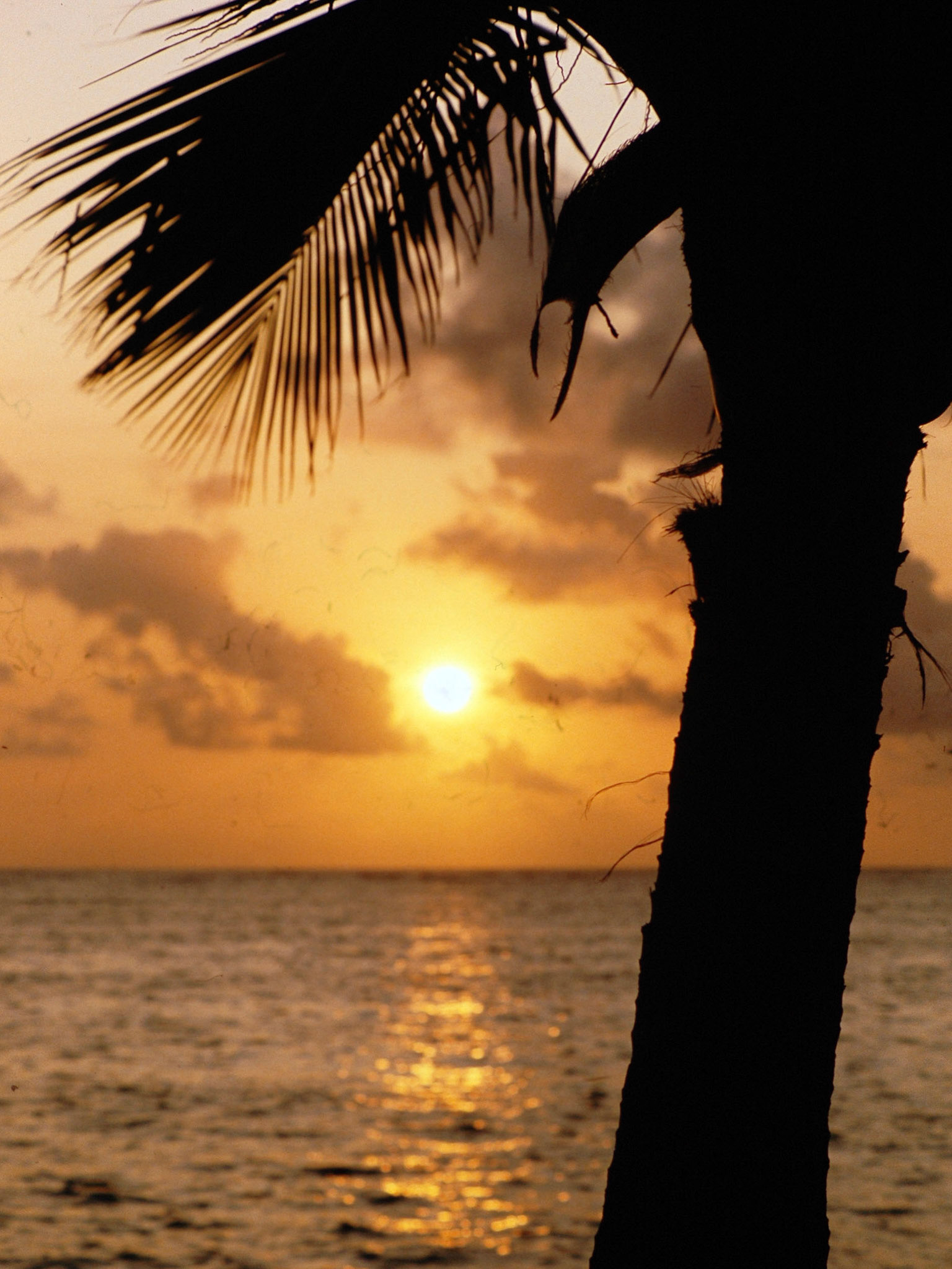Shelley Beach Hotel, Mombassa