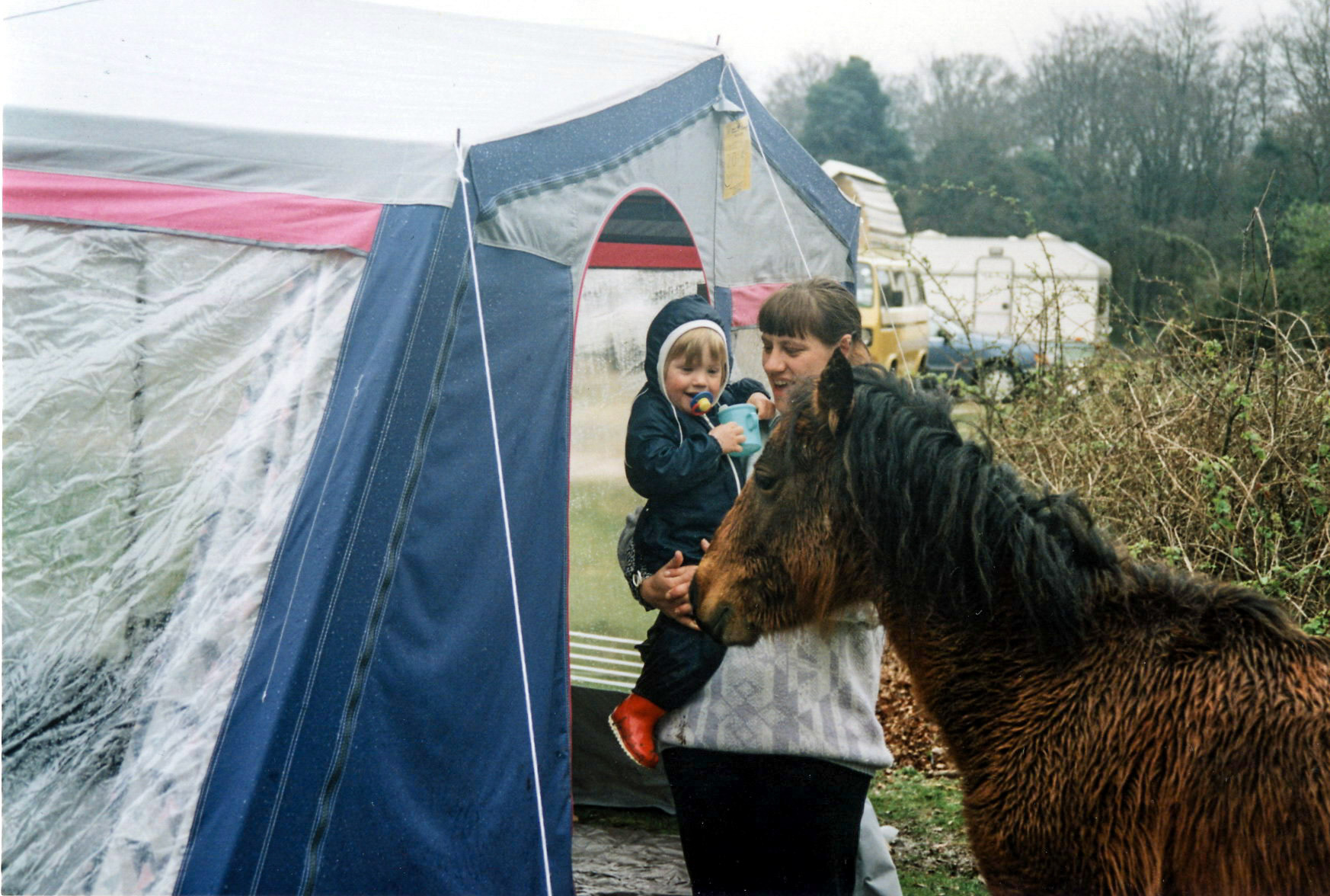 Camping in the New Forest