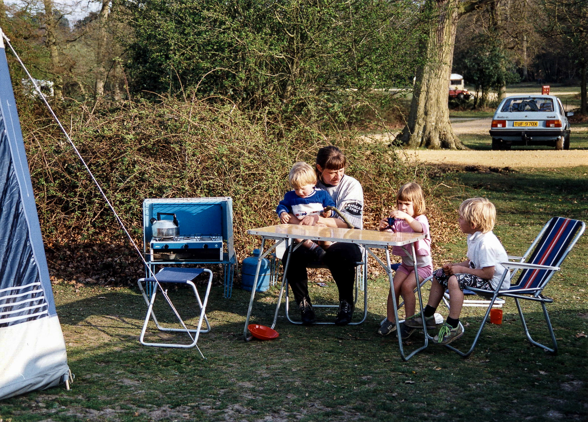 Camping in the New Forest