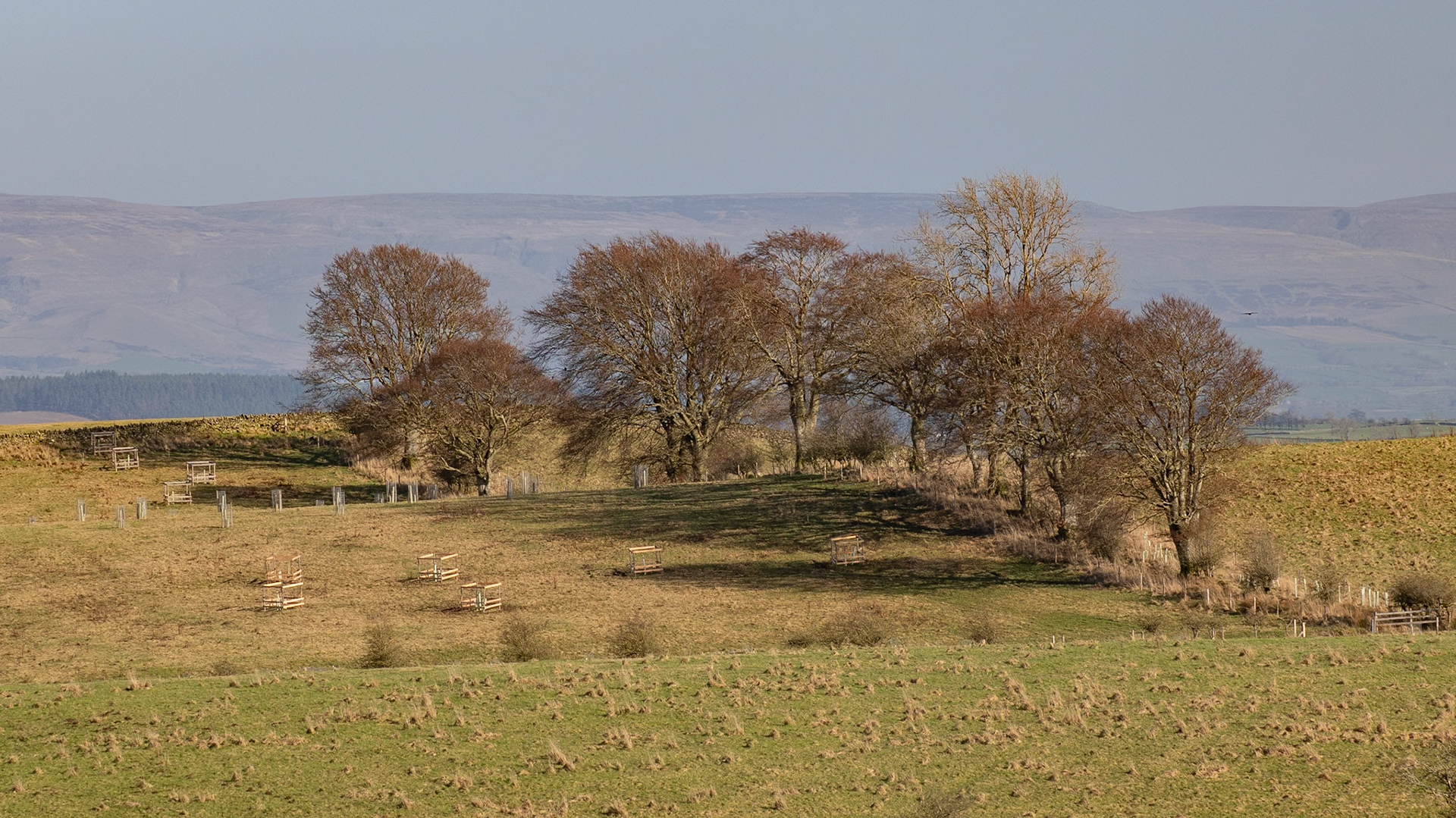 Low Todrigg view
