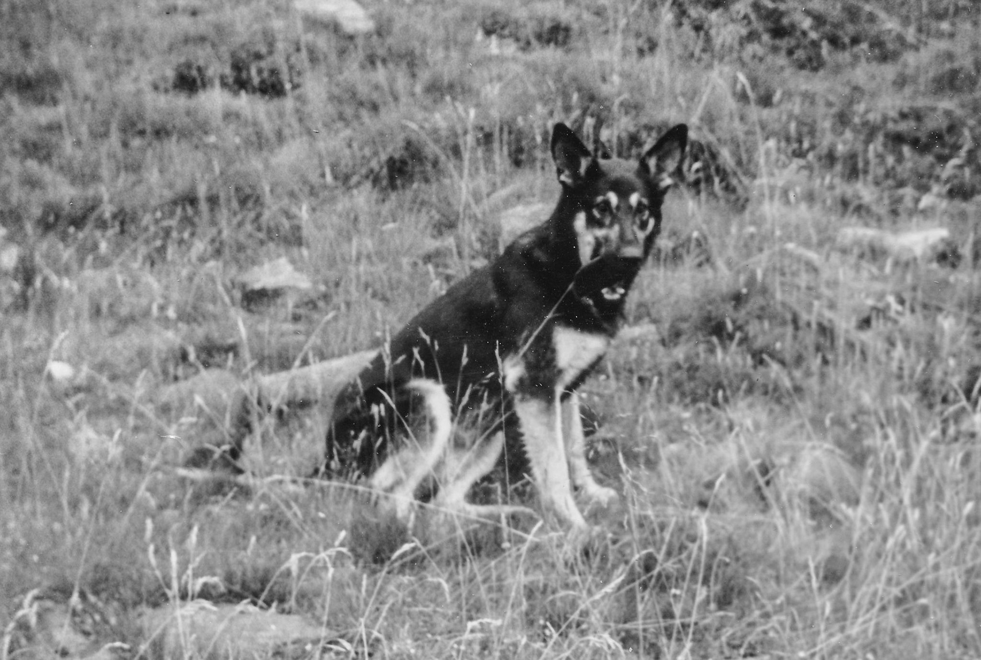 Smokey Low Rush 1968