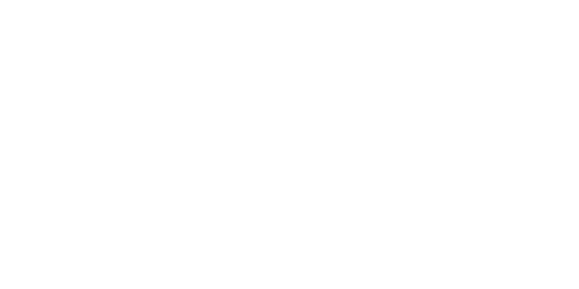 Twinpix Interactive