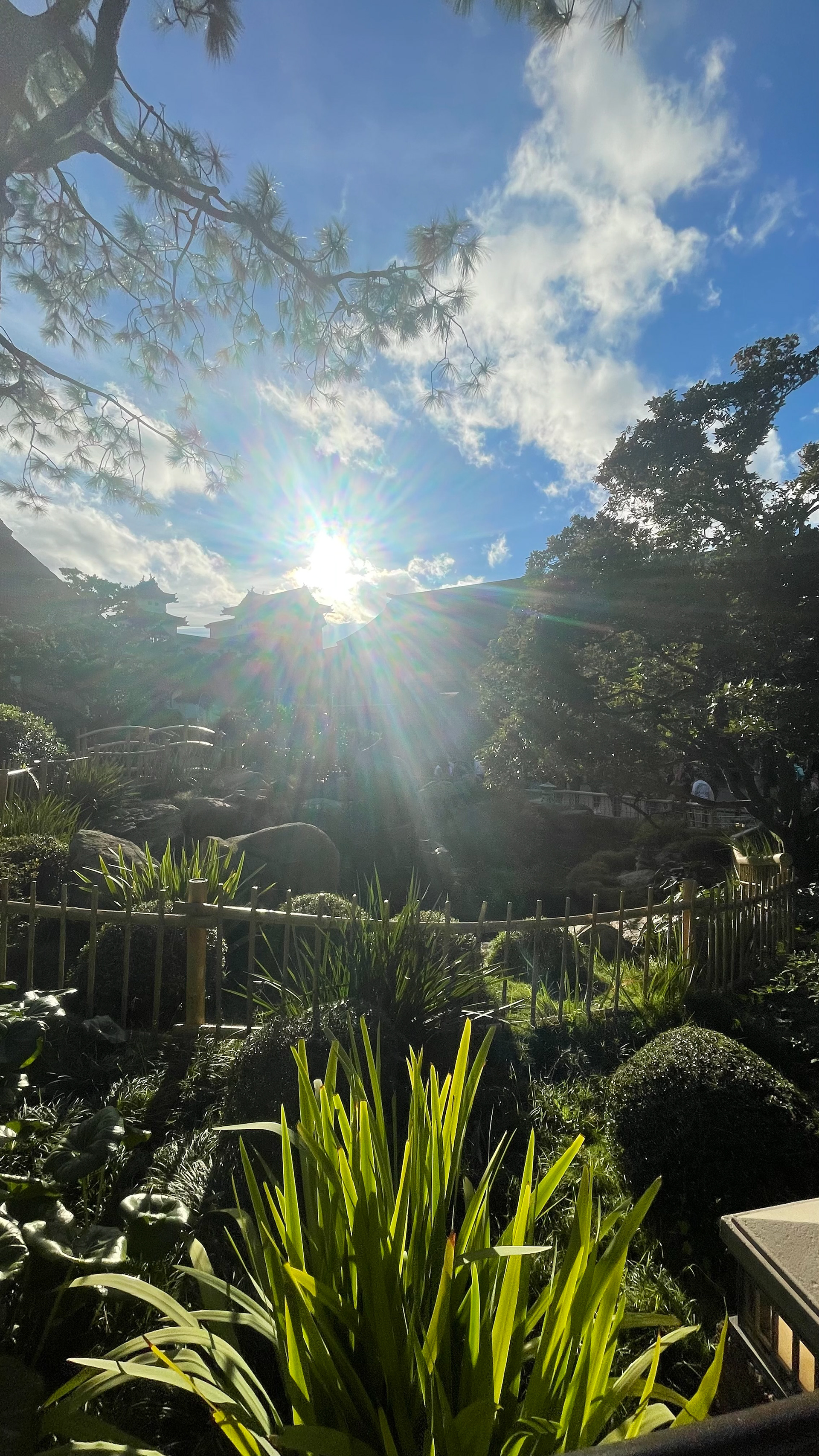 Japan Sun