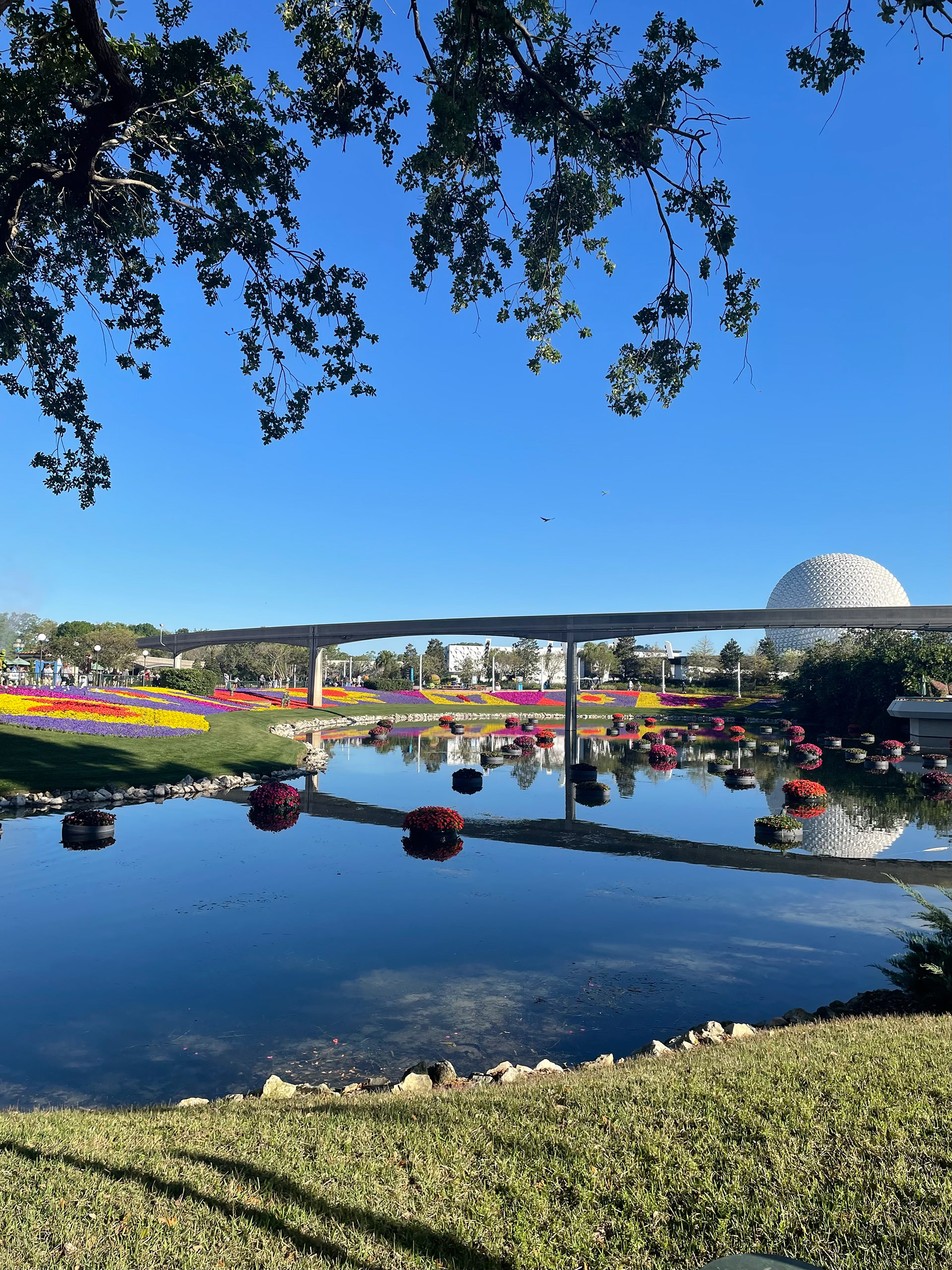 Glass Flowers EPCOT