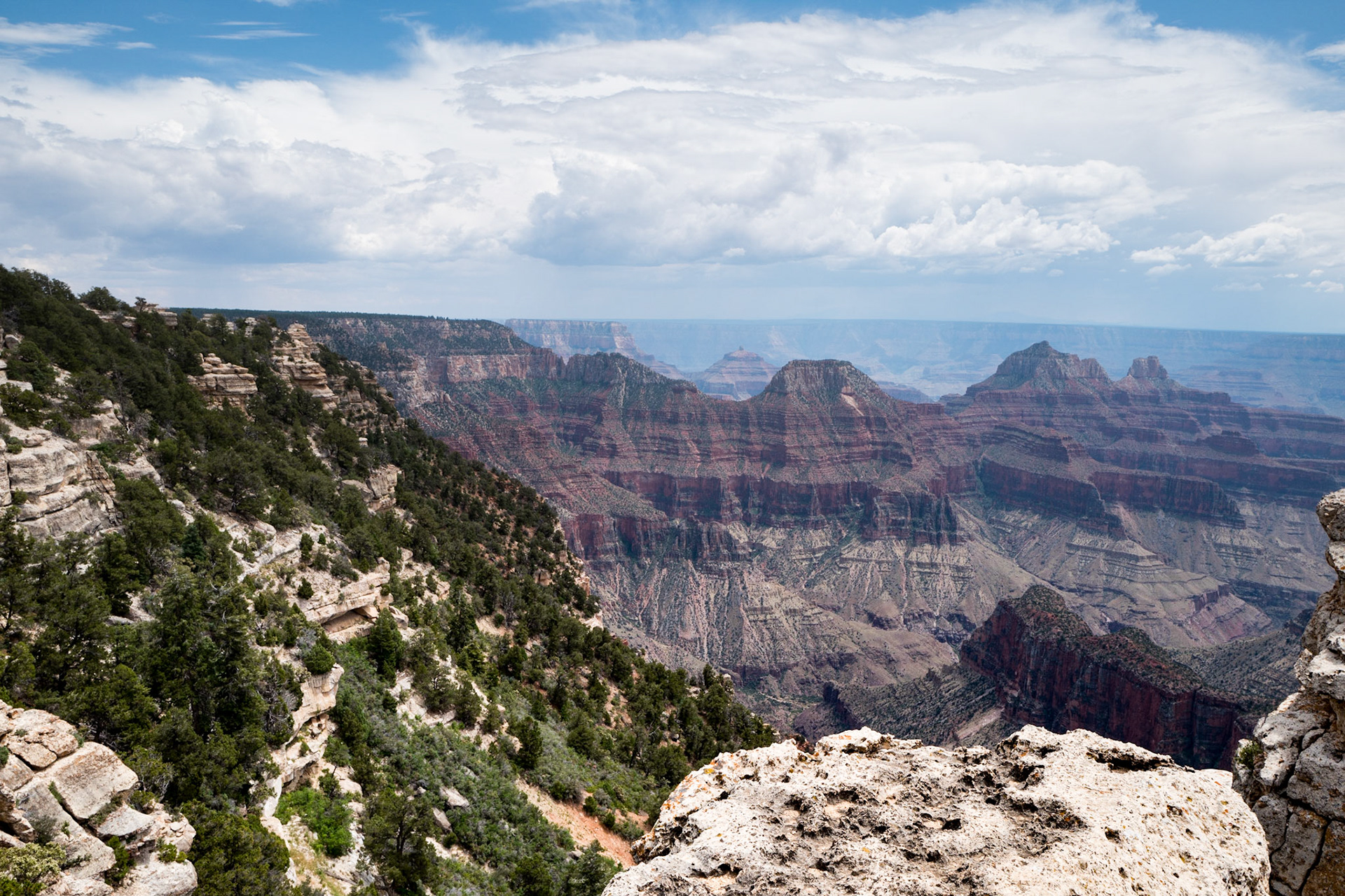 The Grand Canyon