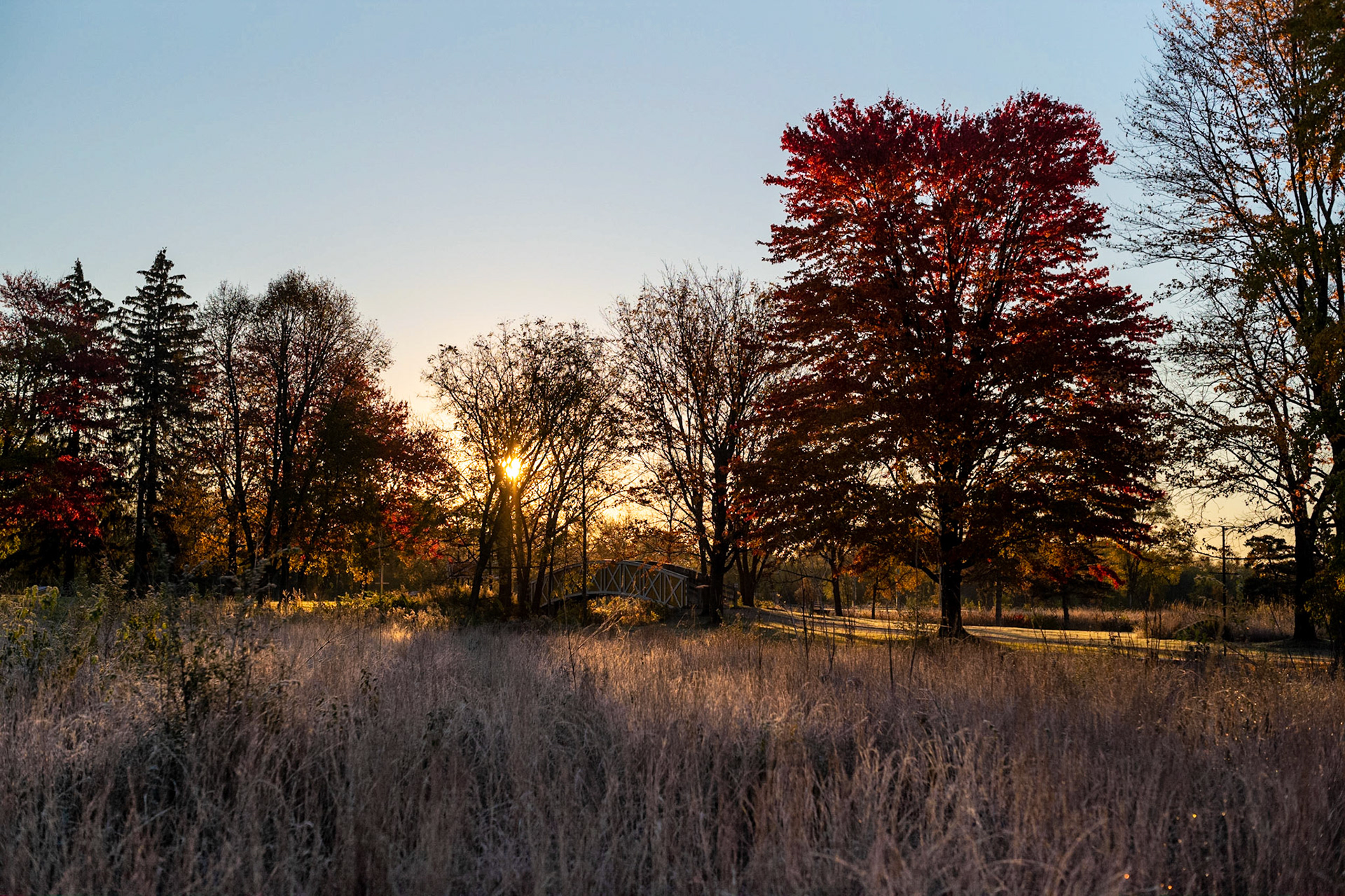 Sunrise