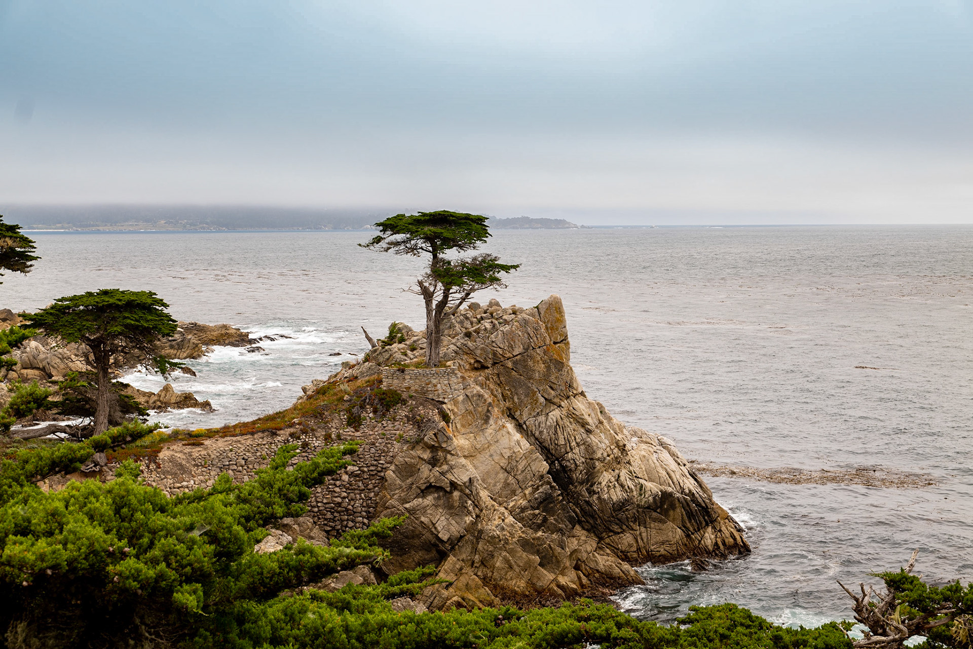 Cypress
