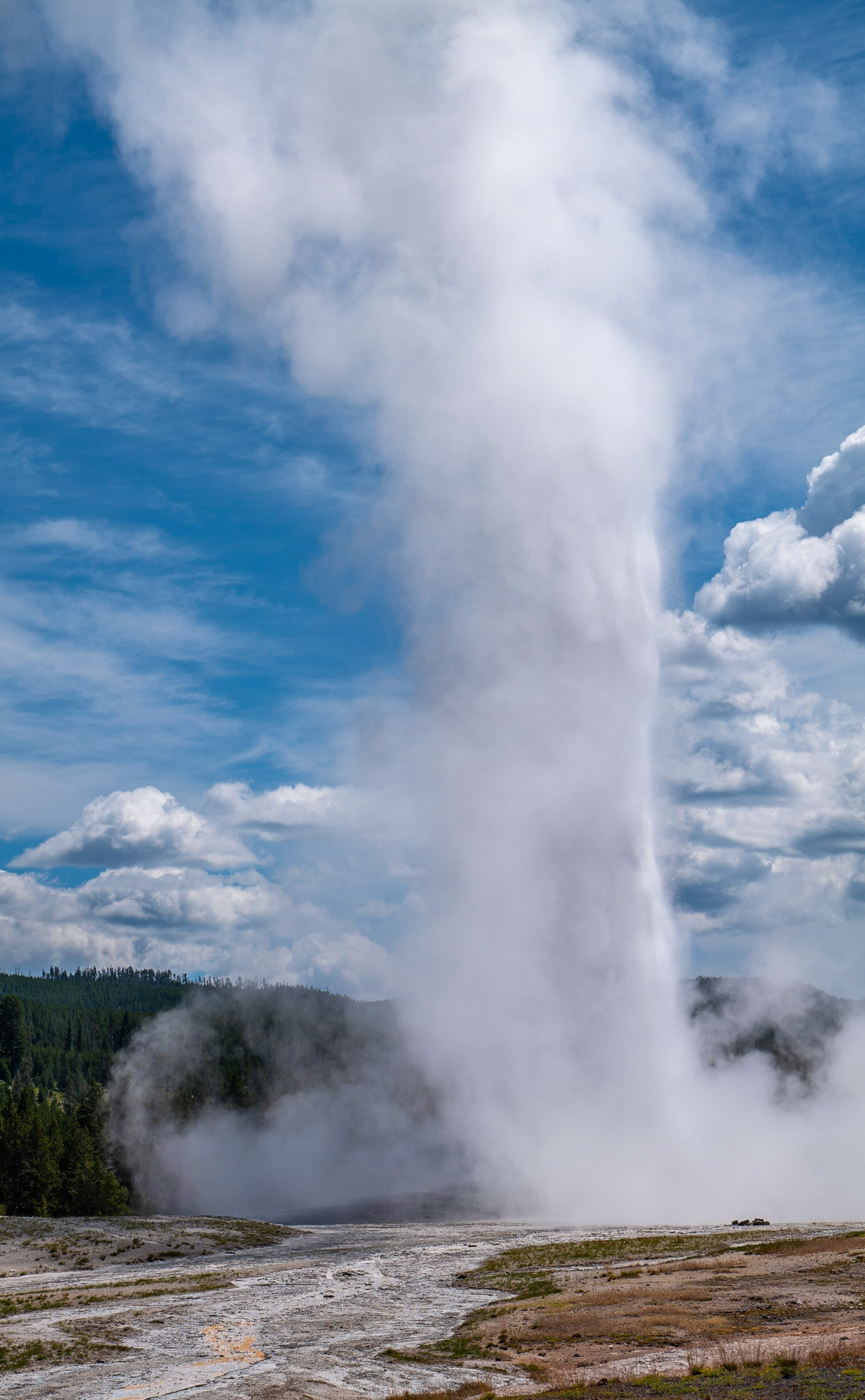 Old Faithful
