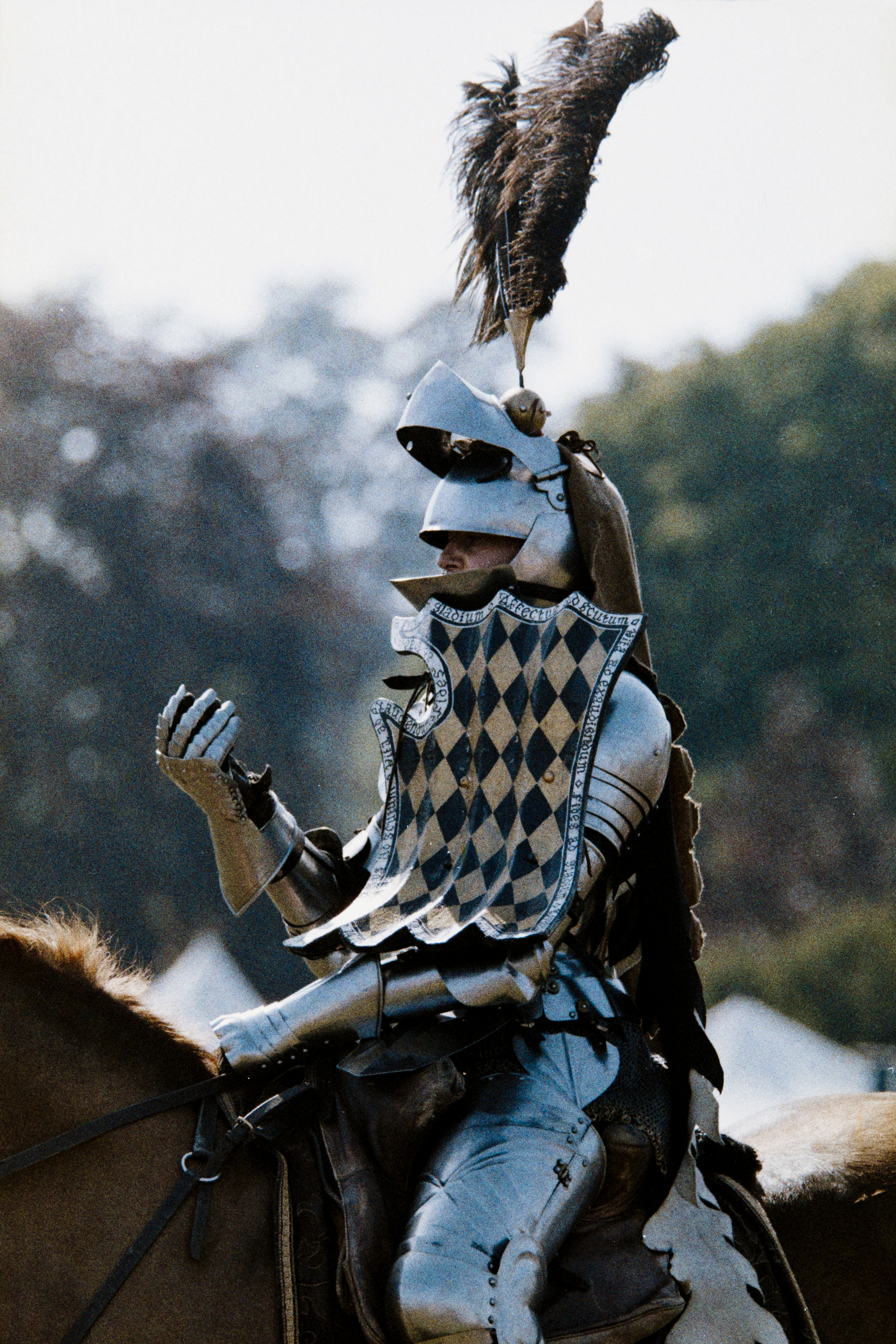 Knight Beckons - Leeds Castle