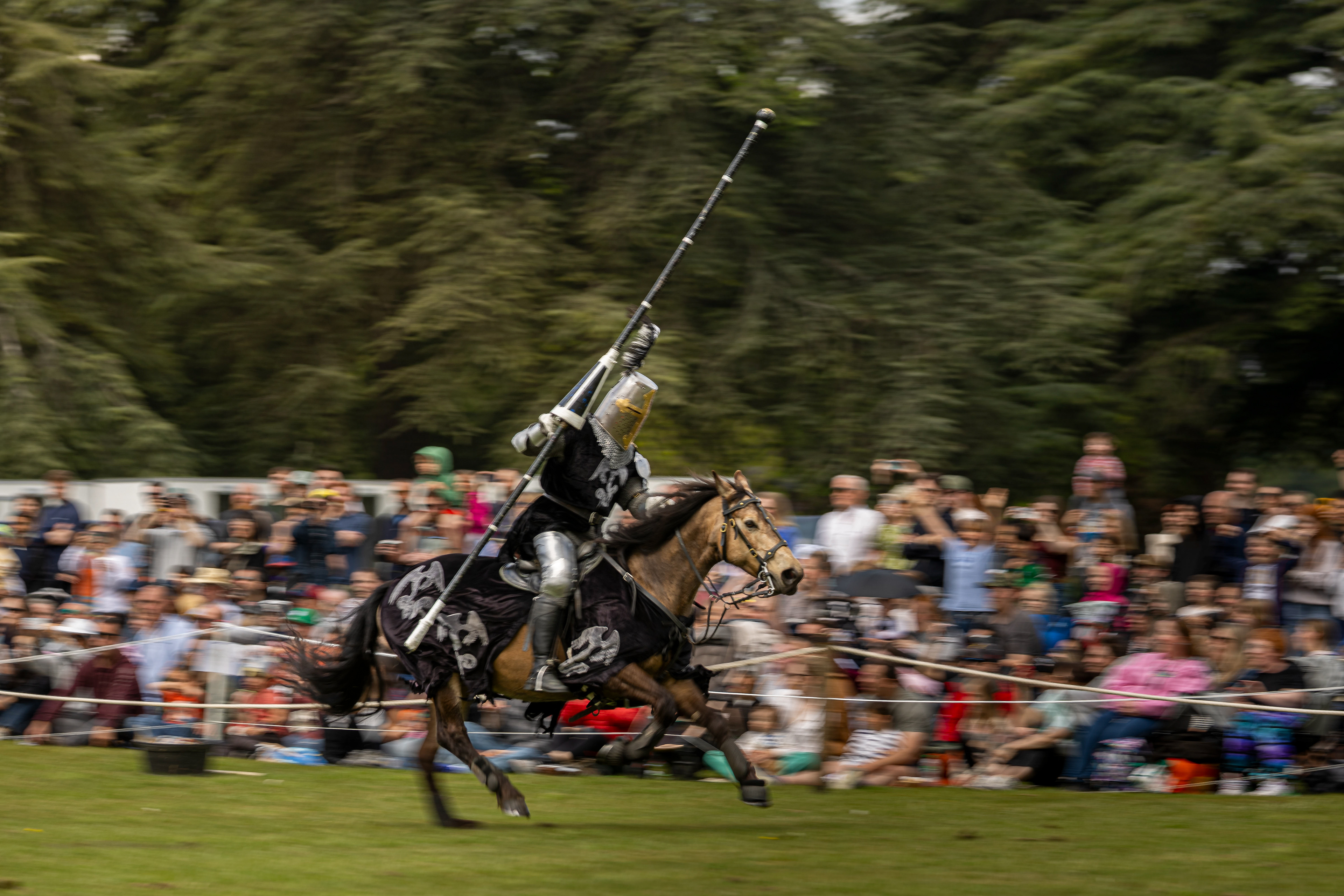 The Black Knight - Blenheim