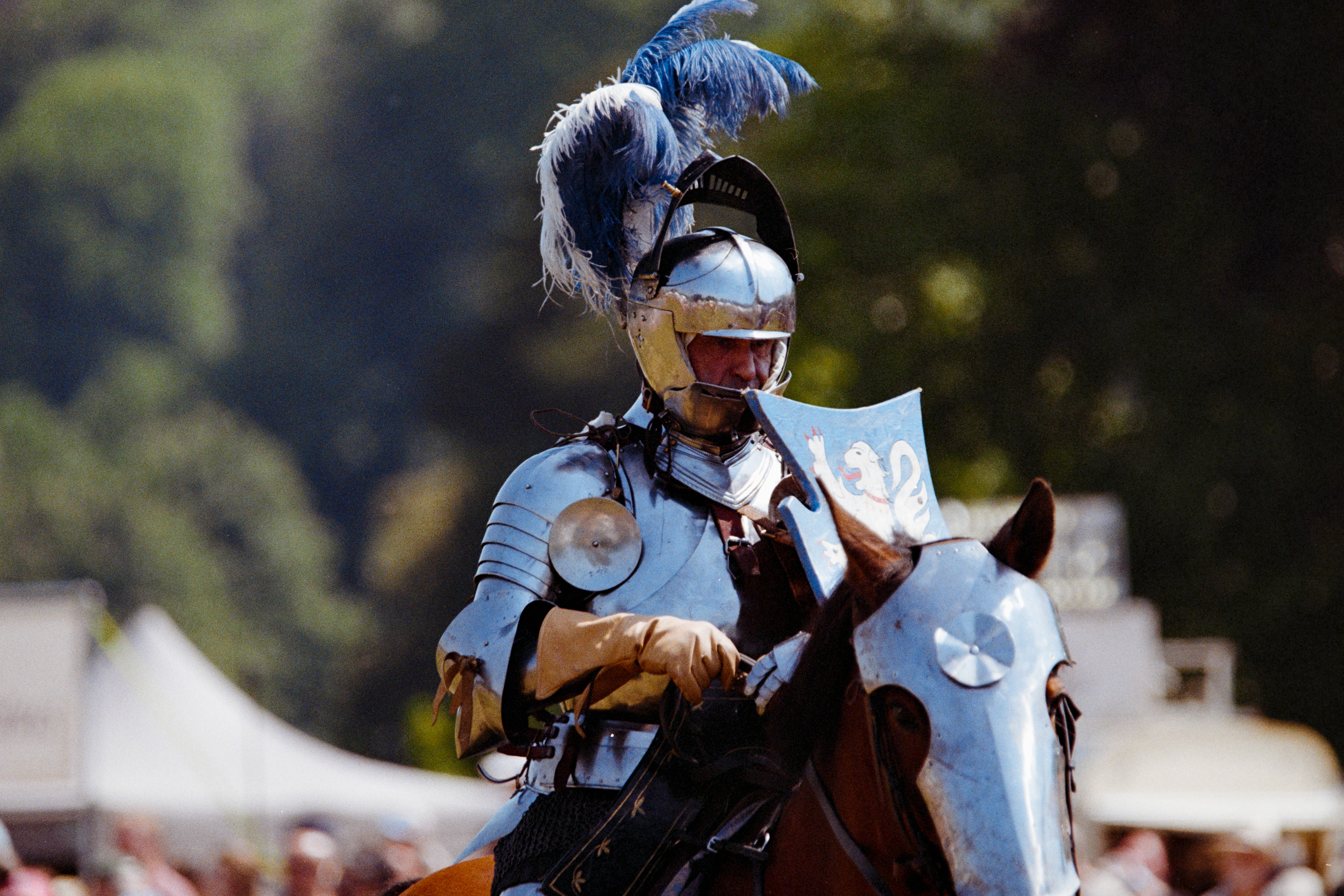 The French Knight - Leeds Castle