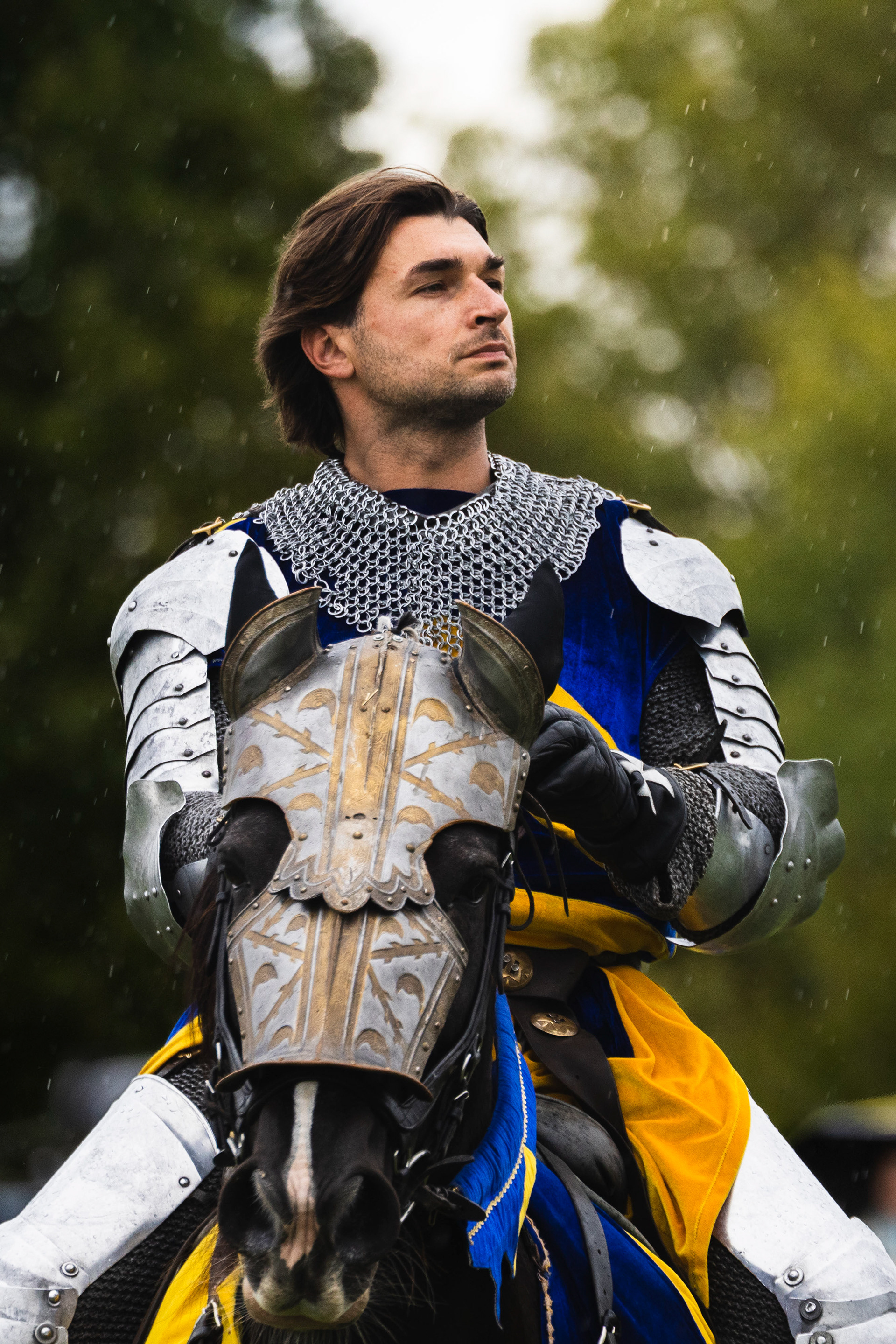 Proud Knight _ Dinton