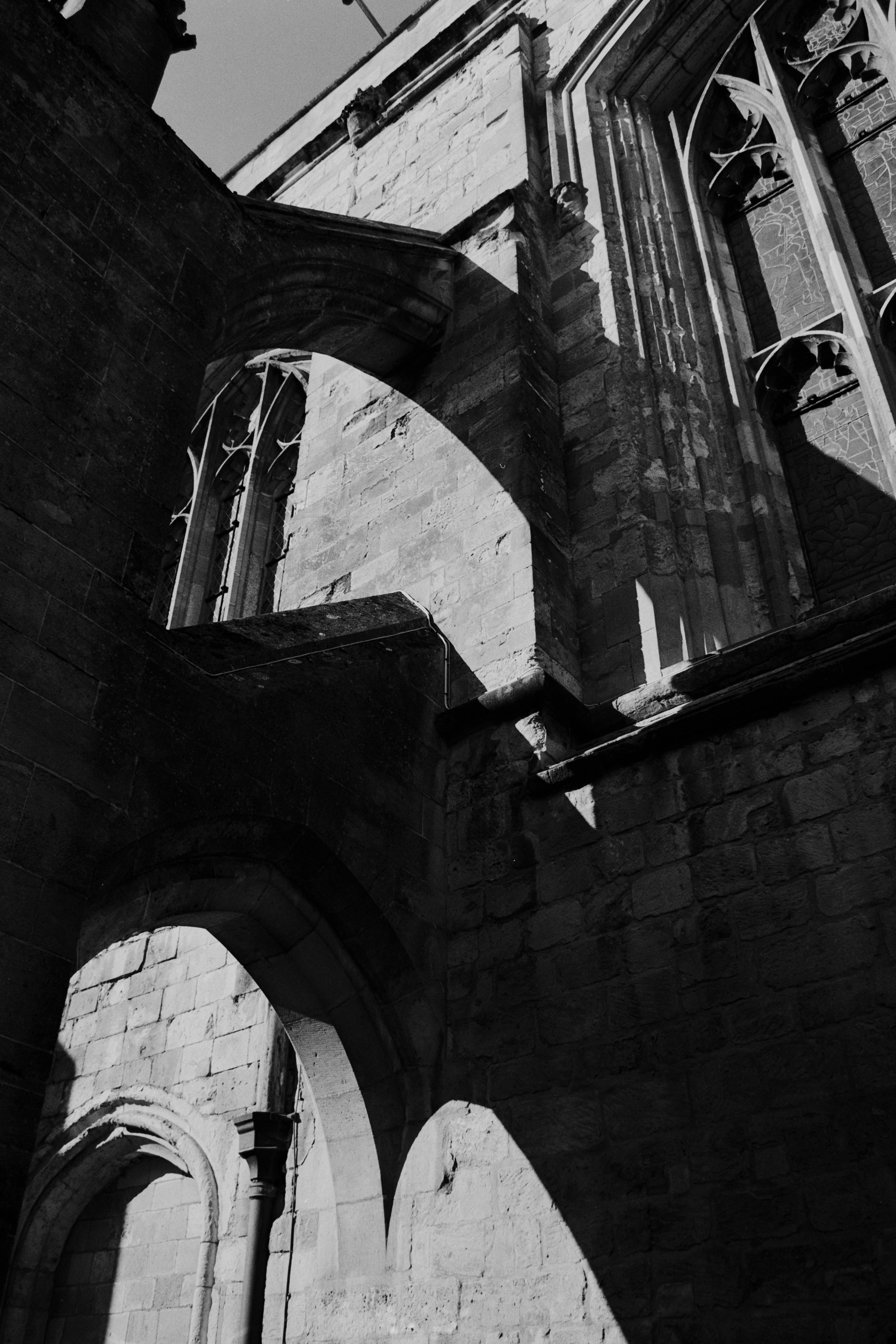 Canon AE-1, Ilford XP2