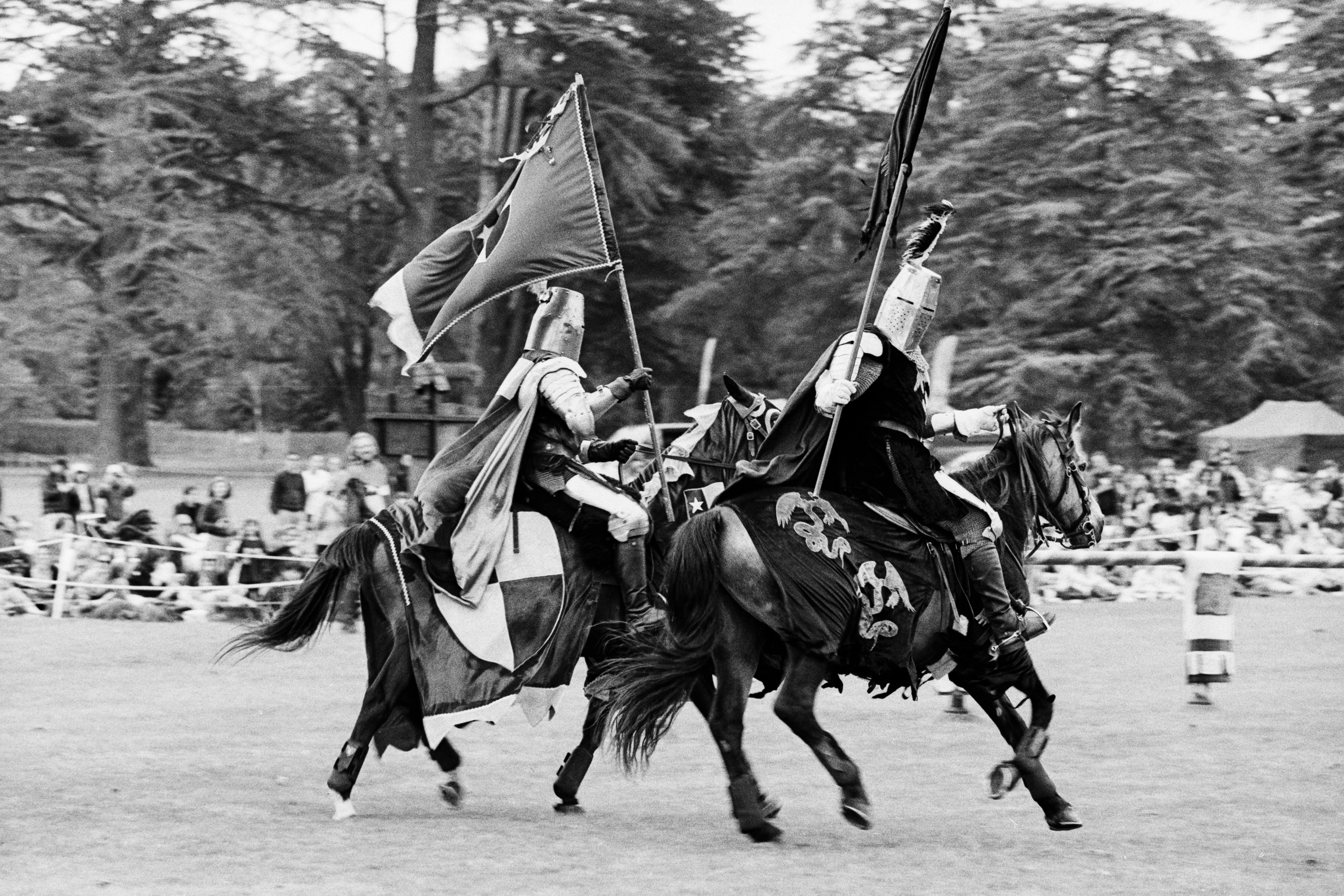The Knights Arrive - Blenheim