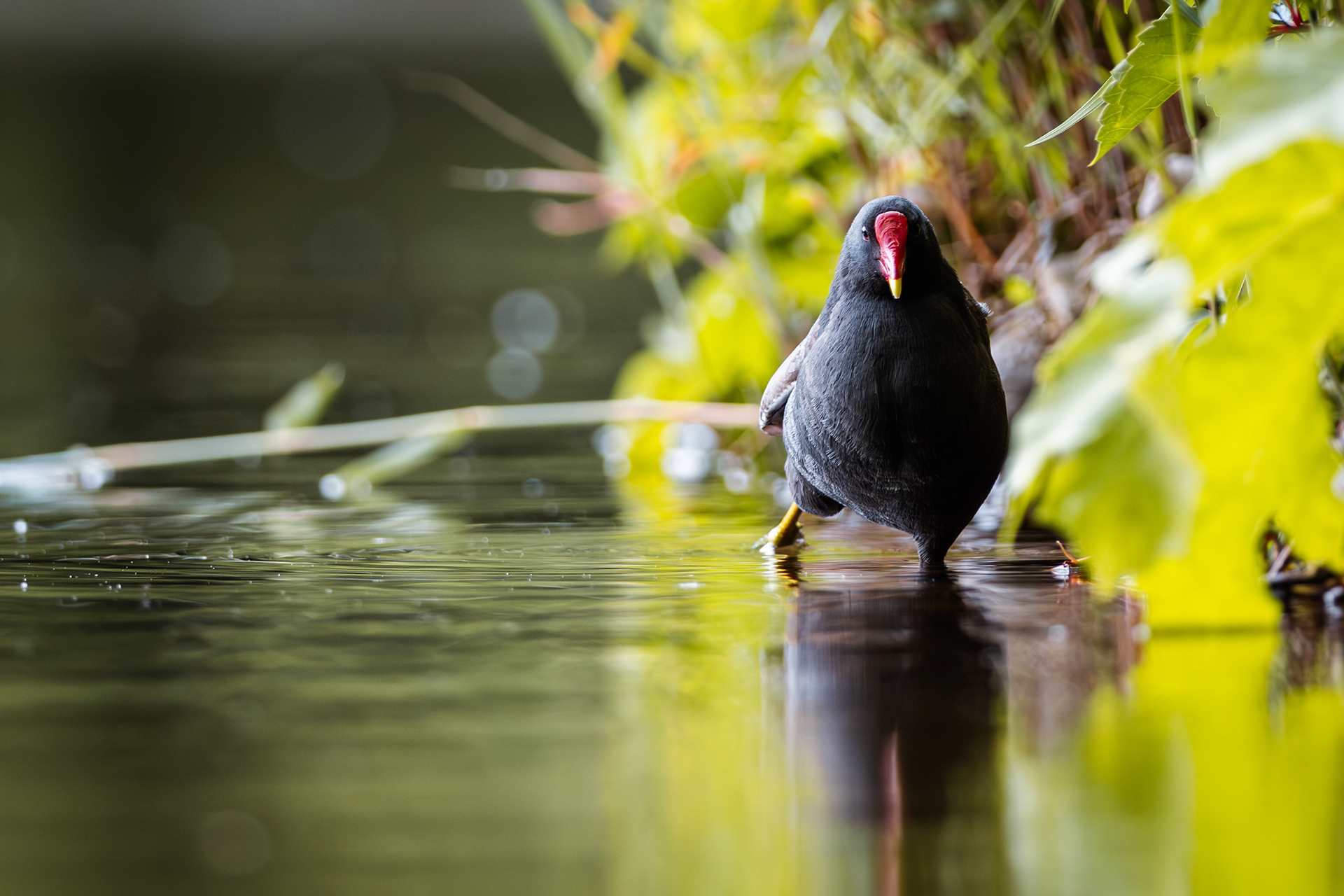 Wartet länger als ich.