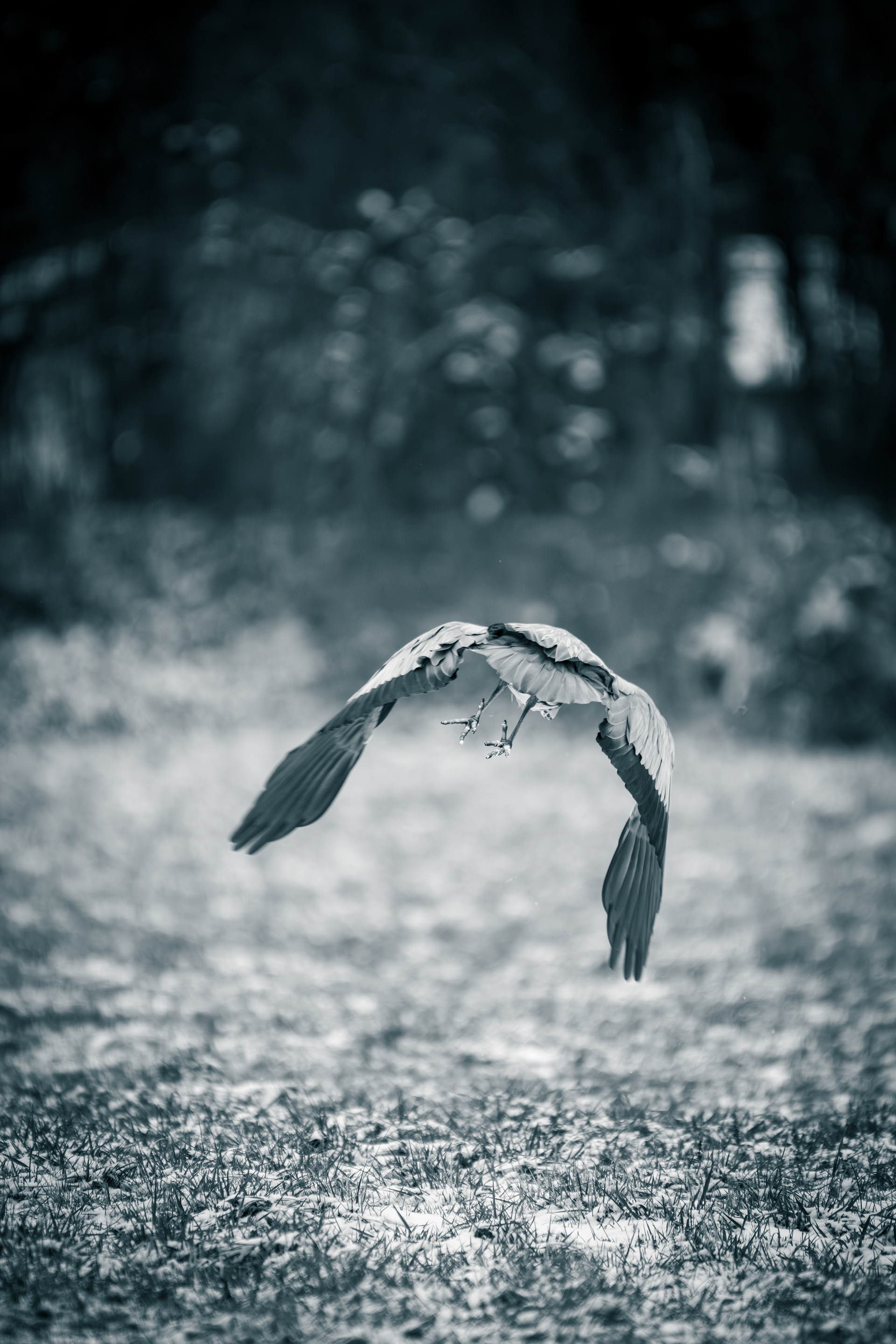 Im Flug bleibt nichts. Außer dem Moment.