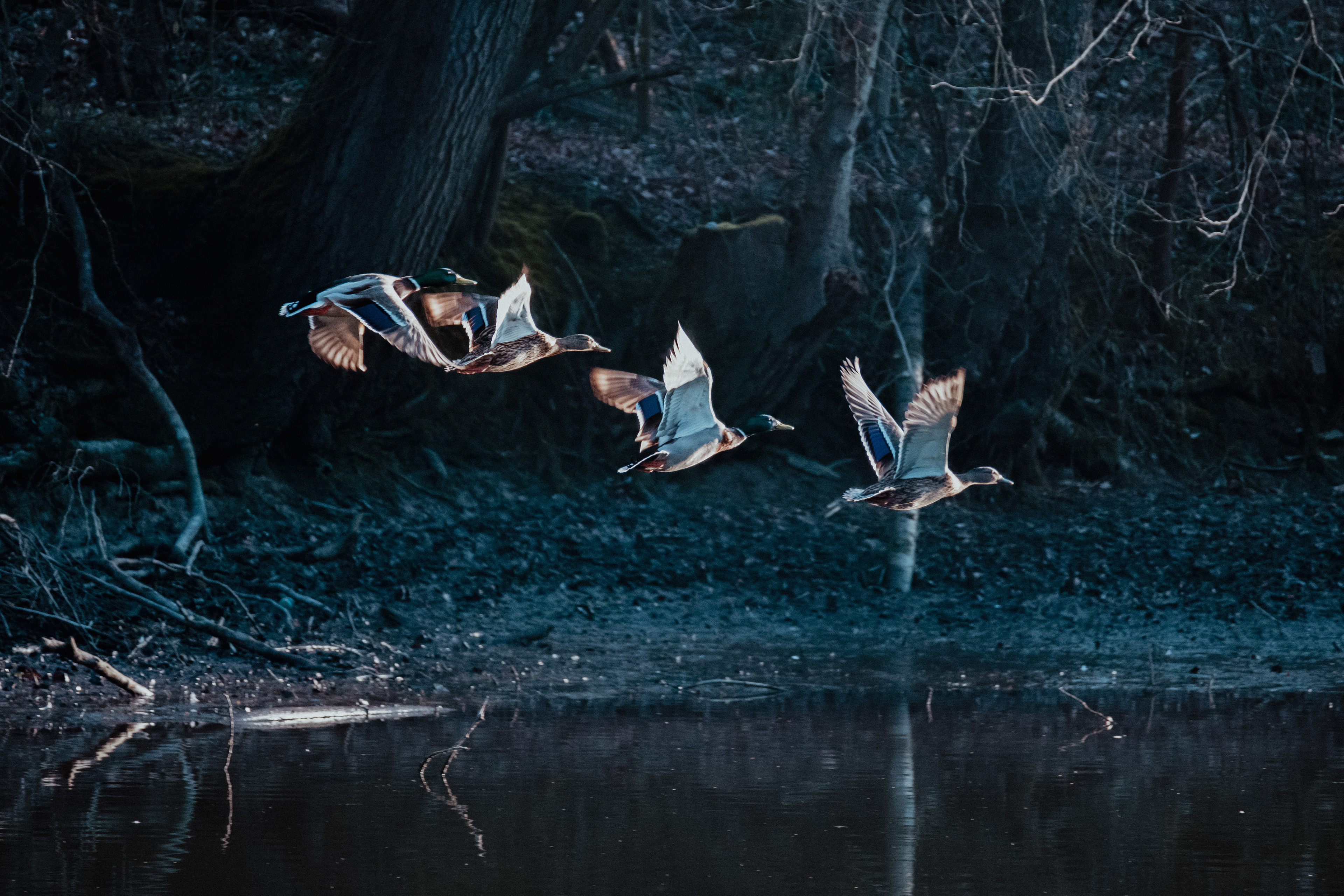 Zu spät. Und trotzdem geblieben.