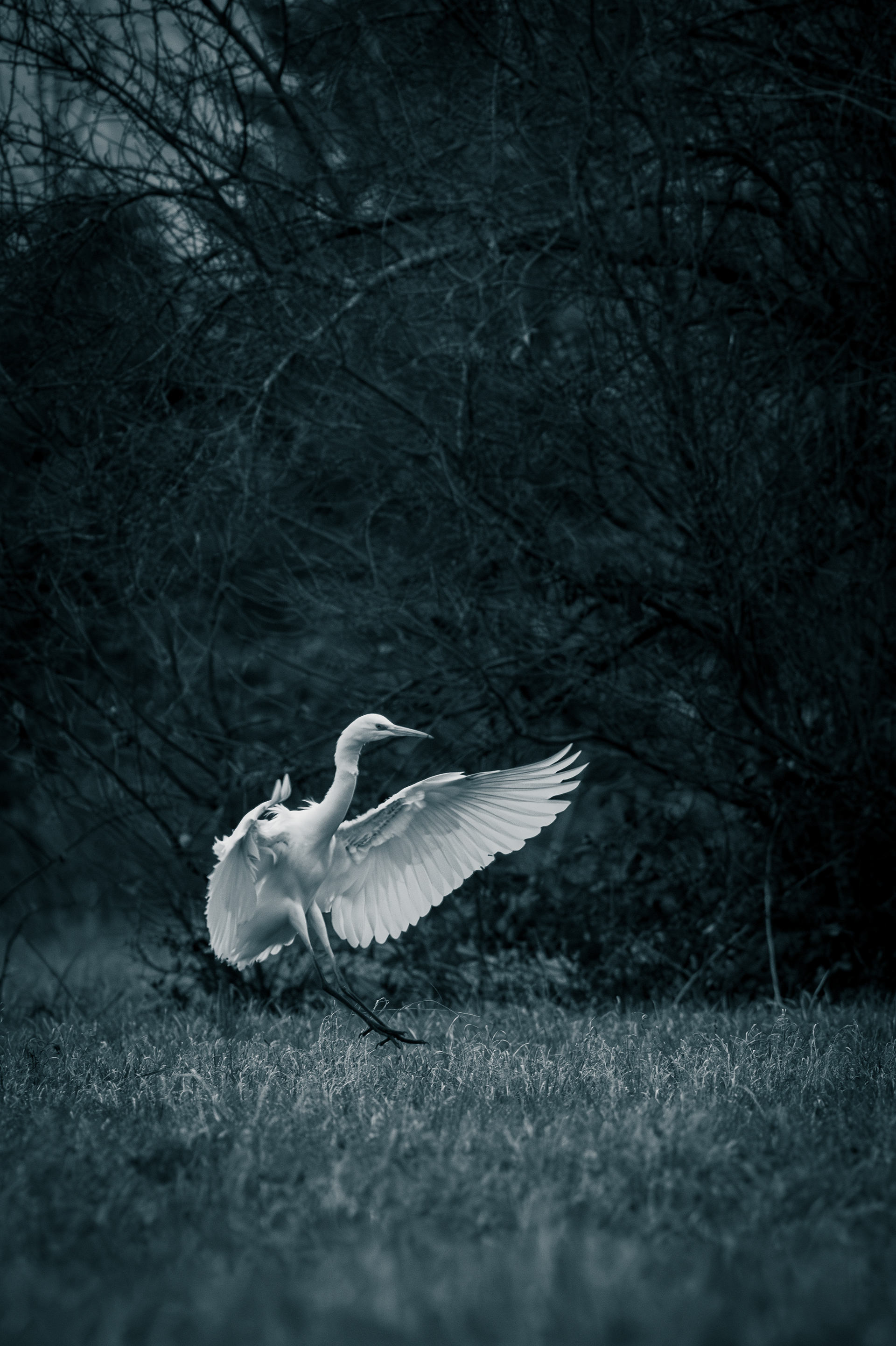 Und manchmal fliegen sie weg.