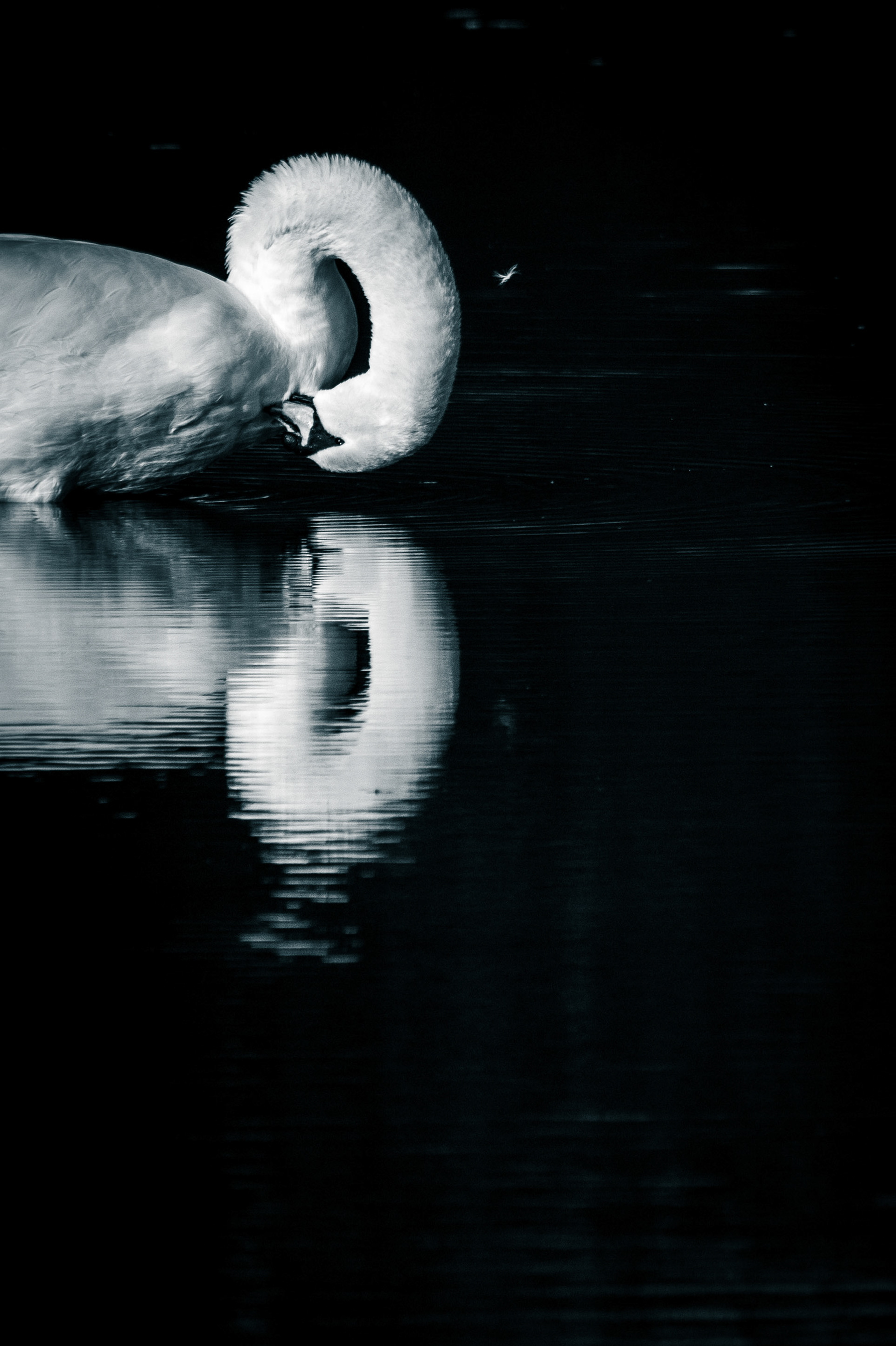 Für einen Moment vergessen worden.