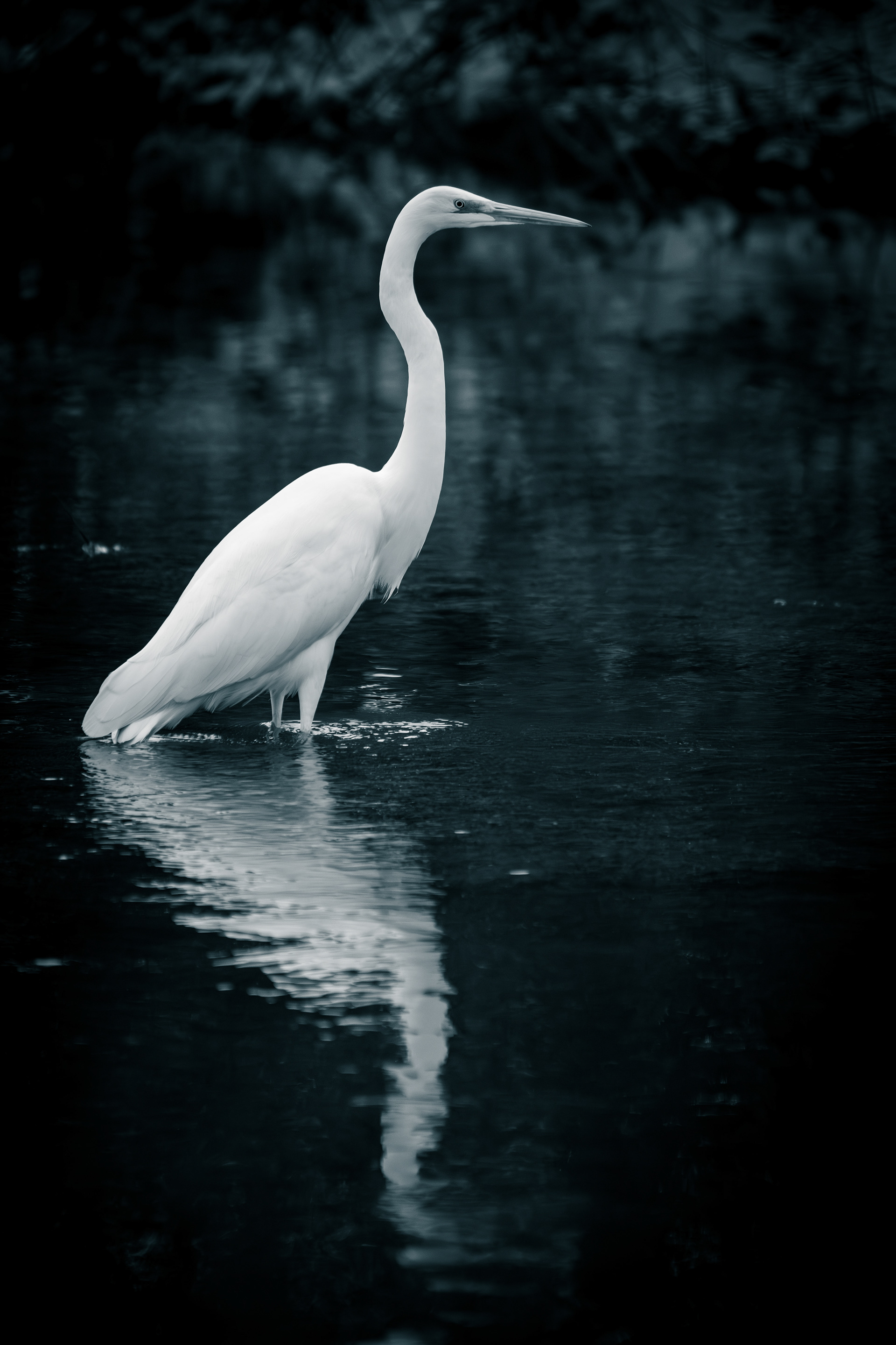 Zu nah, um mich zu bewegen.