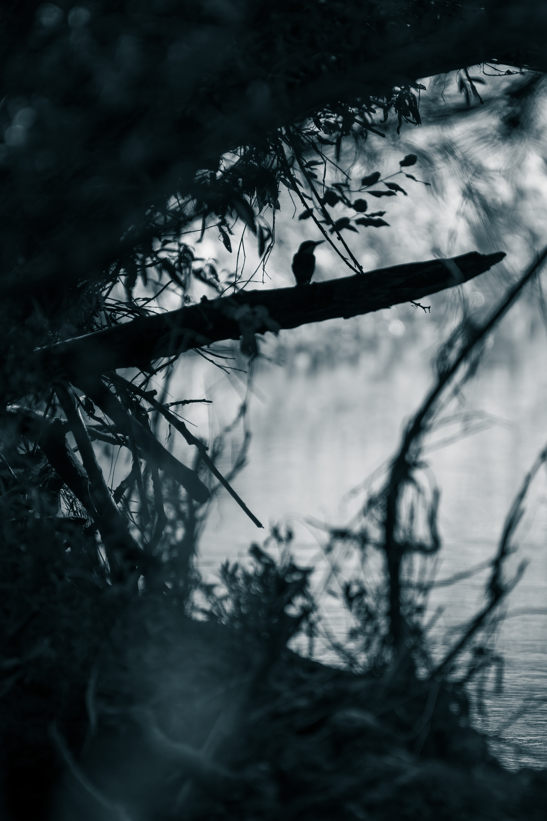 Gesehen, bevor er da war.