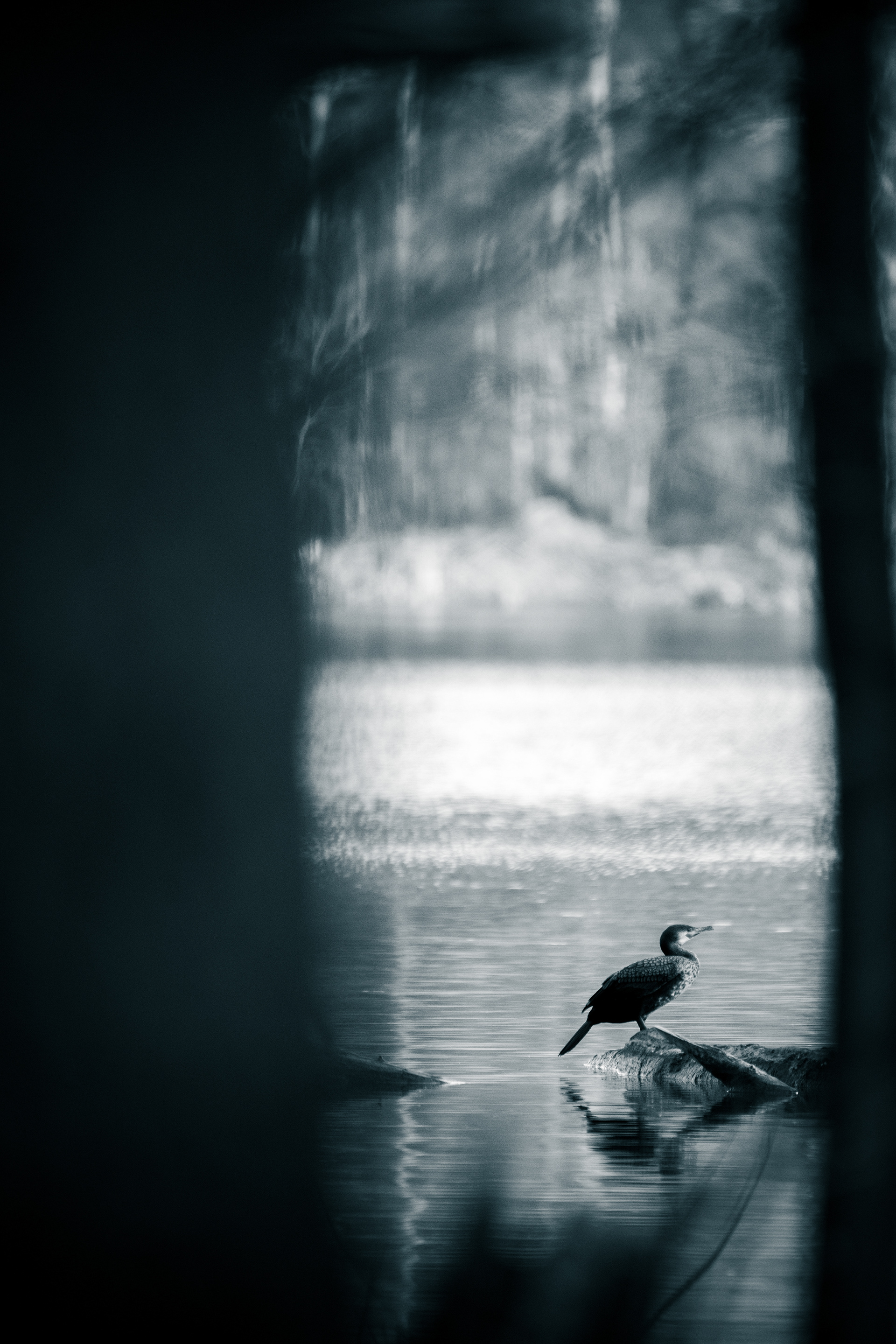 Nur geblieben, weil ich still war.