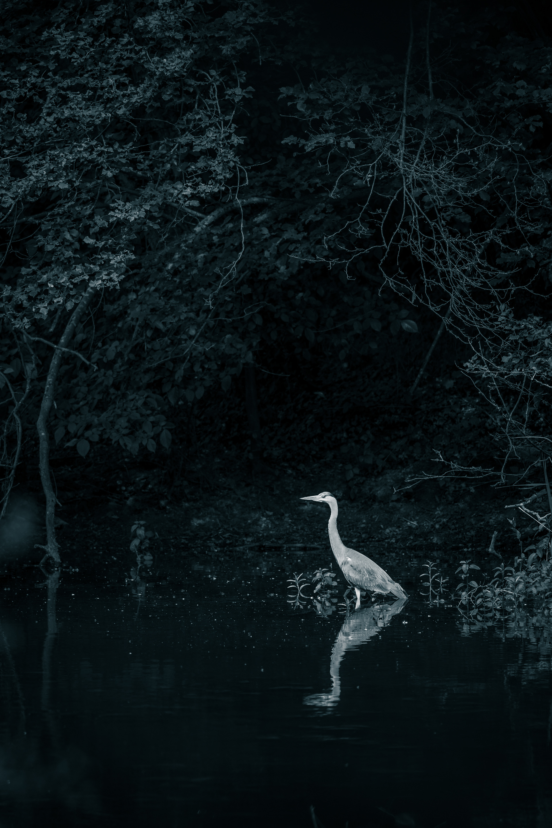 Nicht nah genug. Noch nicht.