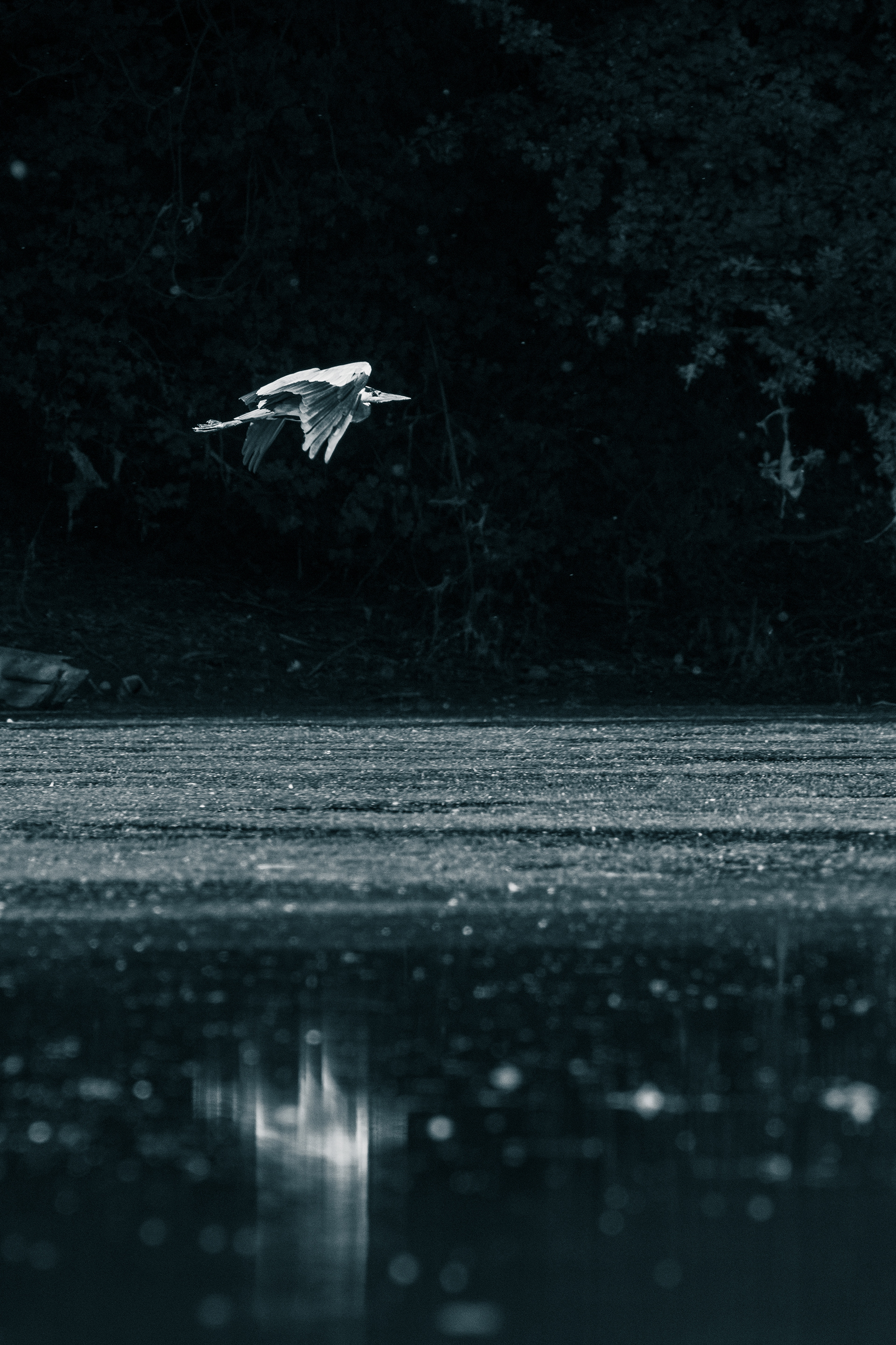 Dann geht es schnell.