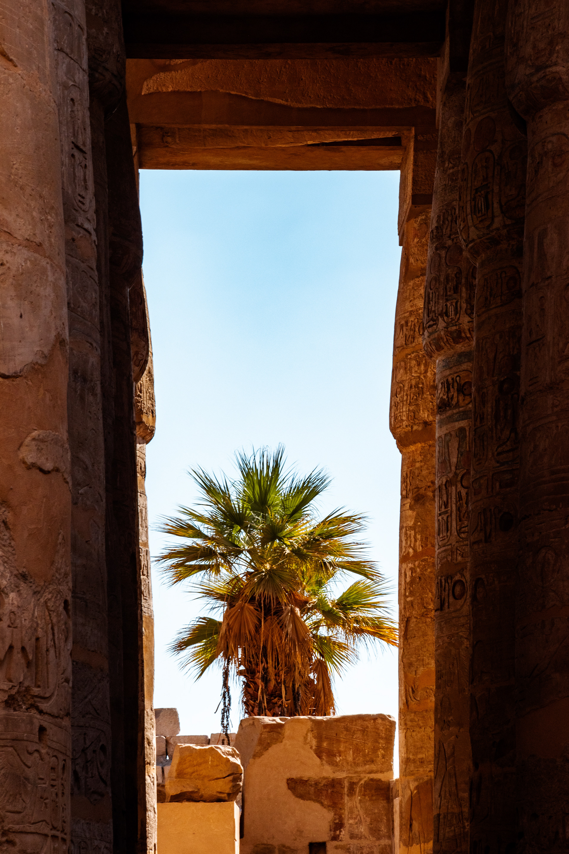Palmen-Blick durch die Säulenhalle