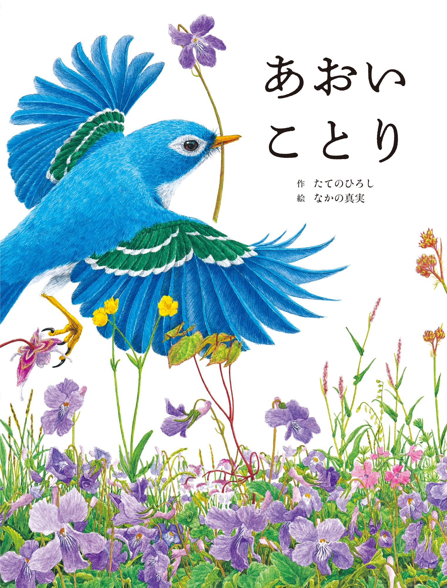 あおいことり