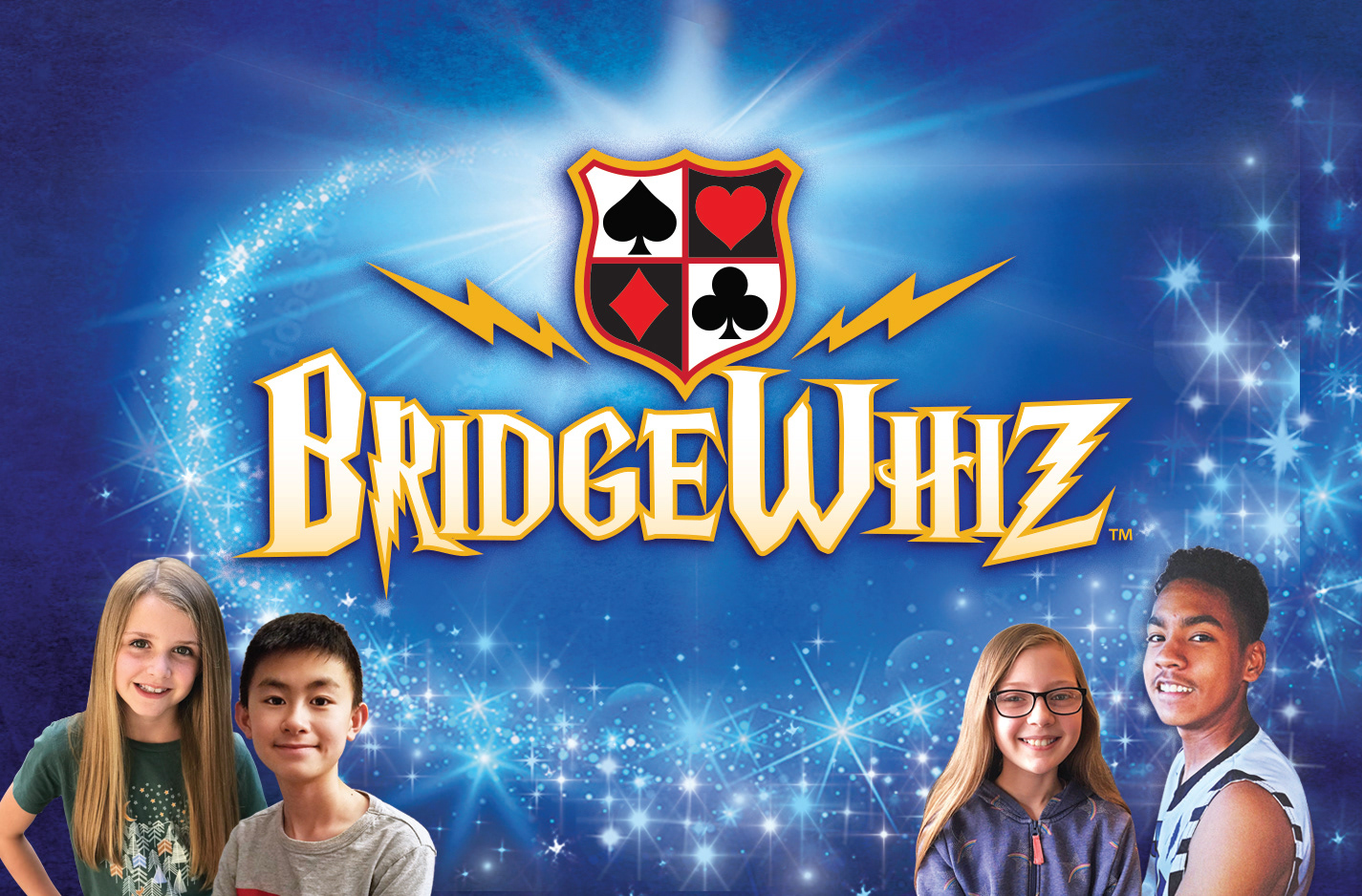 BridgeWhiz Report Mini Brochure