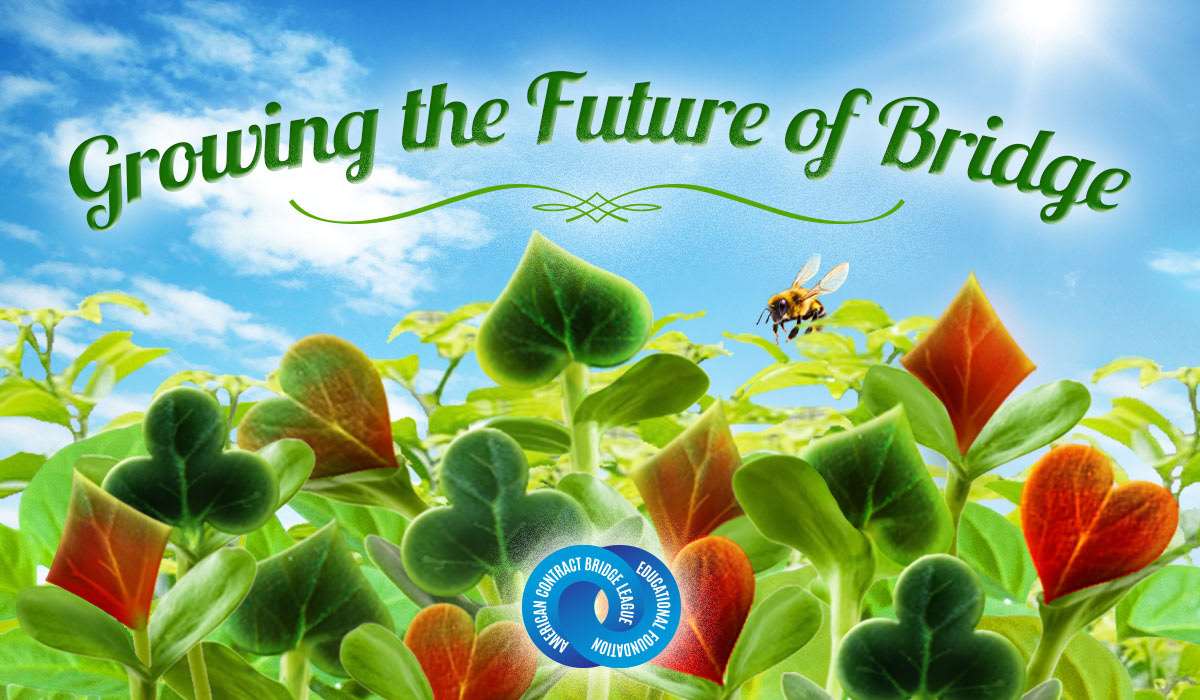 2022 Annual Report Email Header