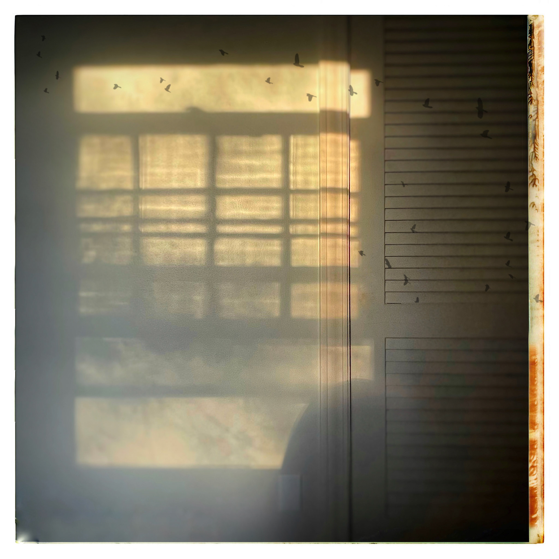 waking light
