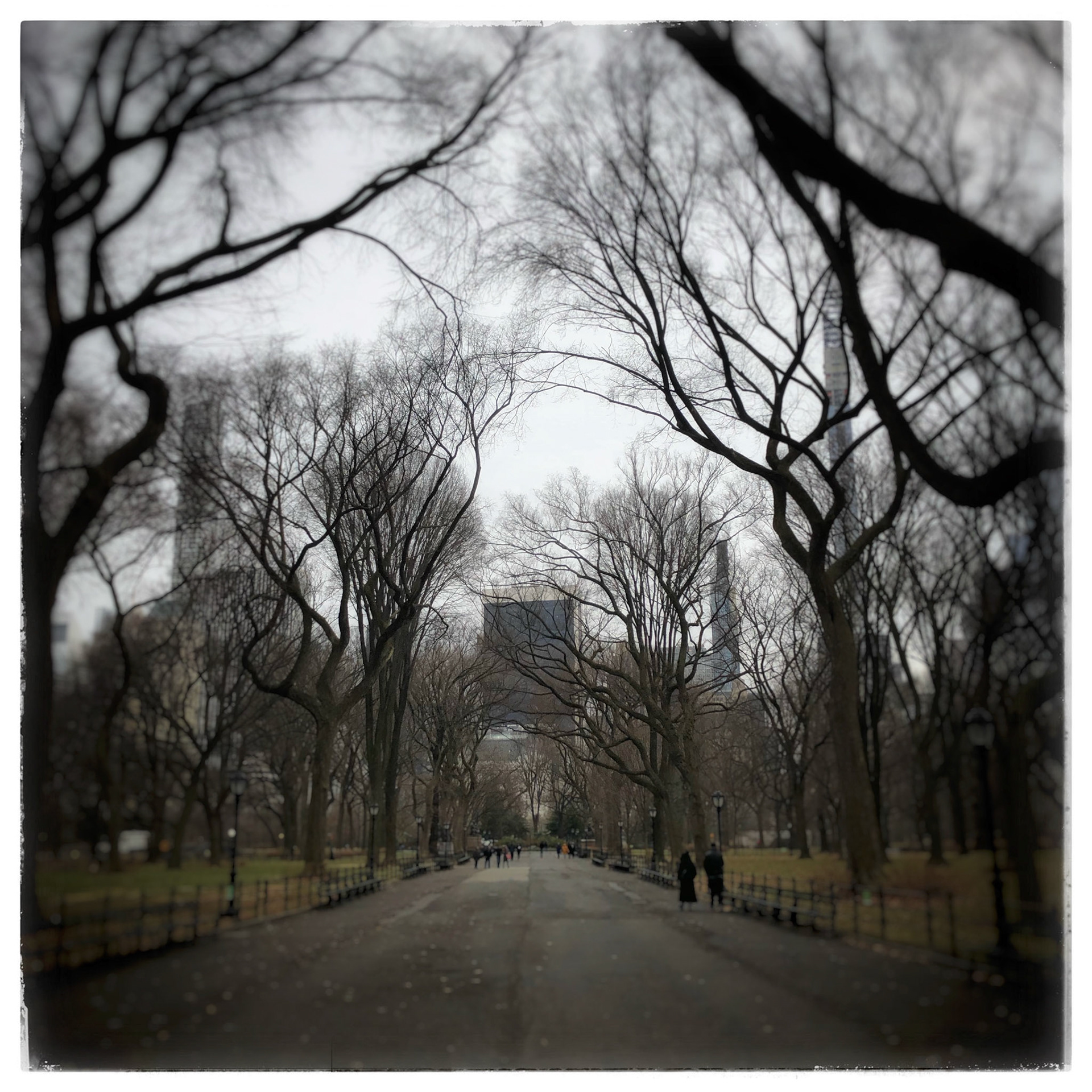 Central Park