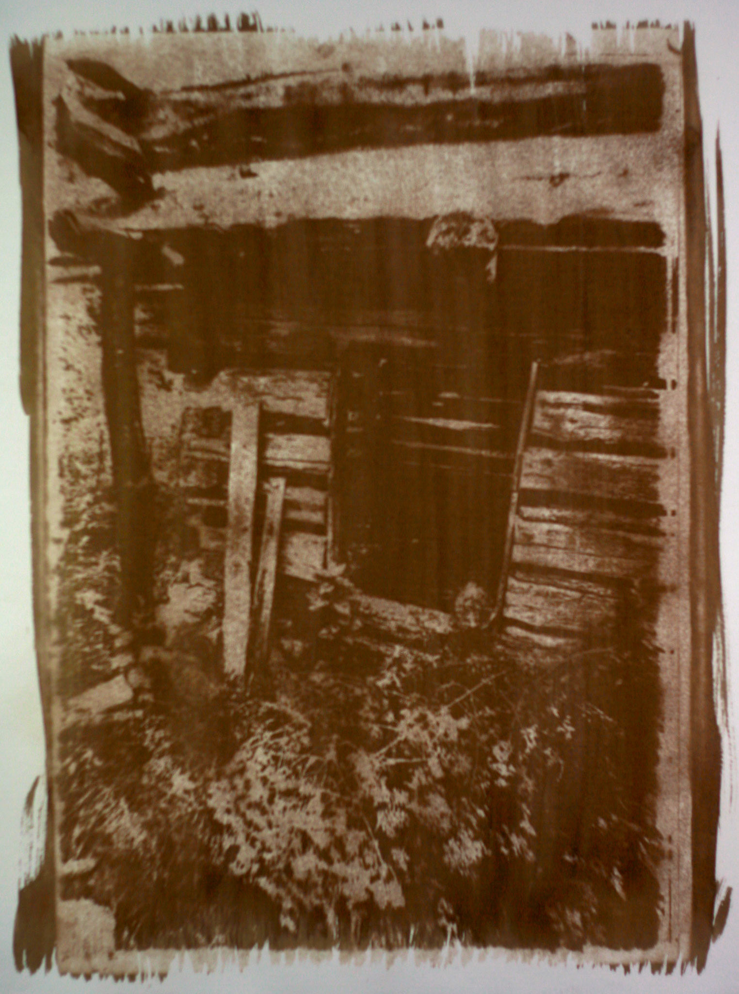 gum bichromate - Bell Smith