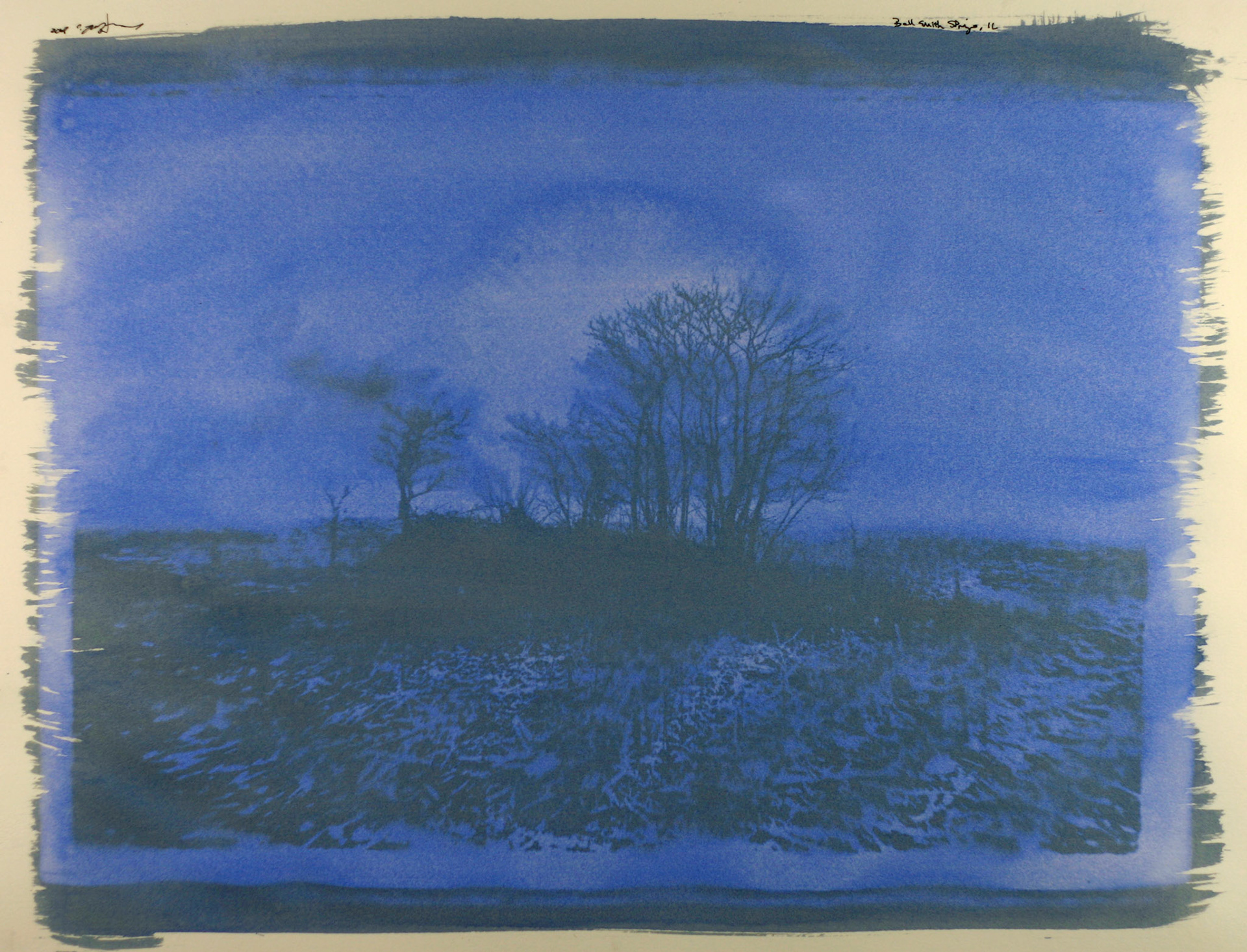 gum bichromate - Bell Smith