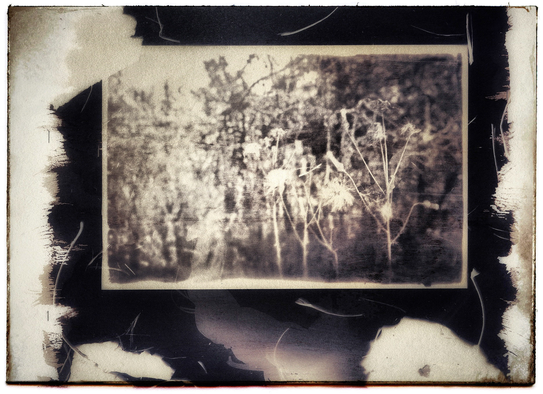 salt print - Mantle Rock