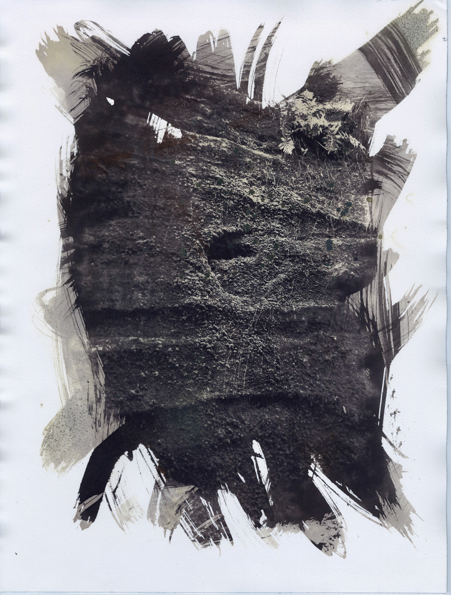 salt print - Trail of Tears